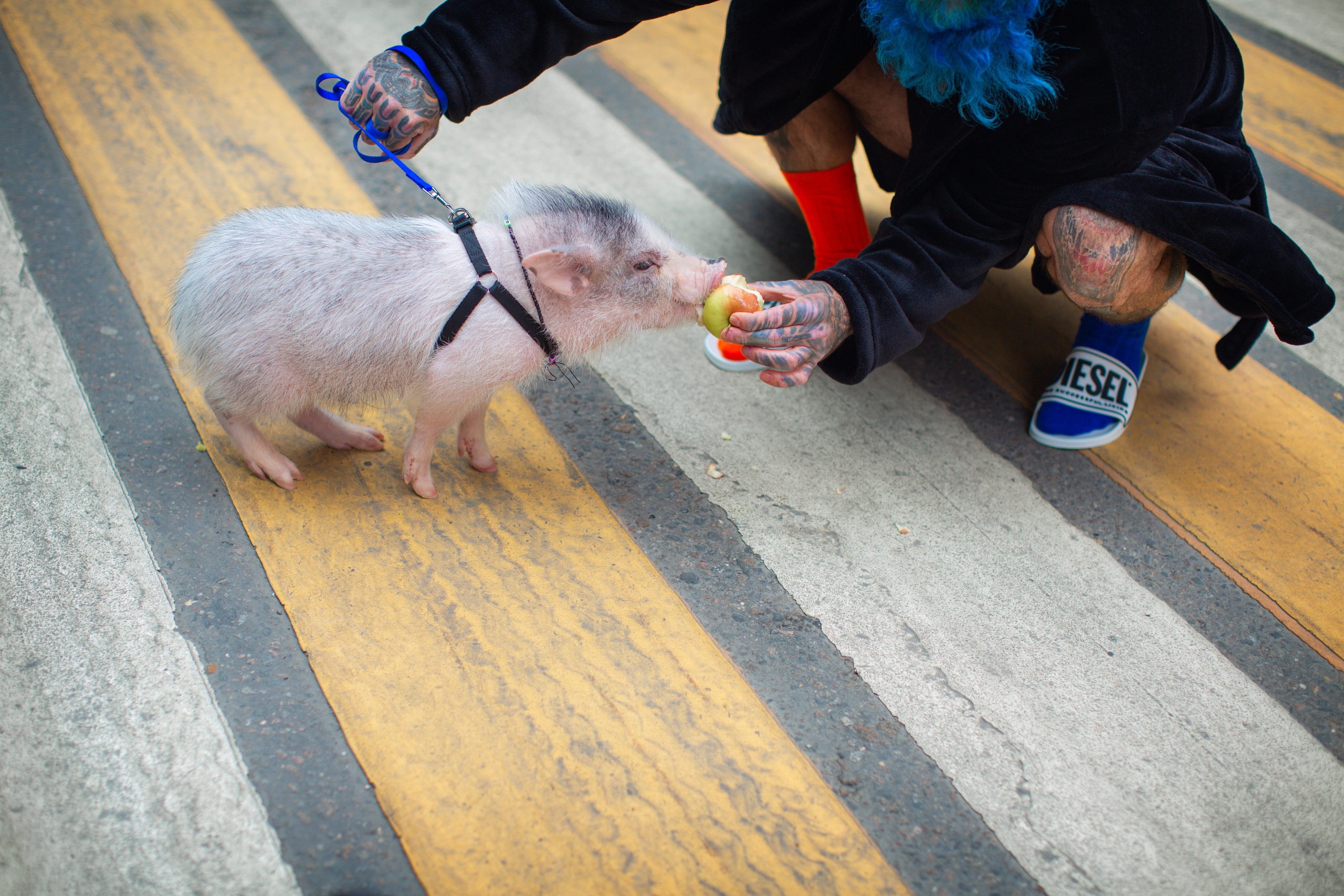 Денис Кузьмин (блогер Синяя Борода). Фотограф Москва I Чехов Вероника Долинская