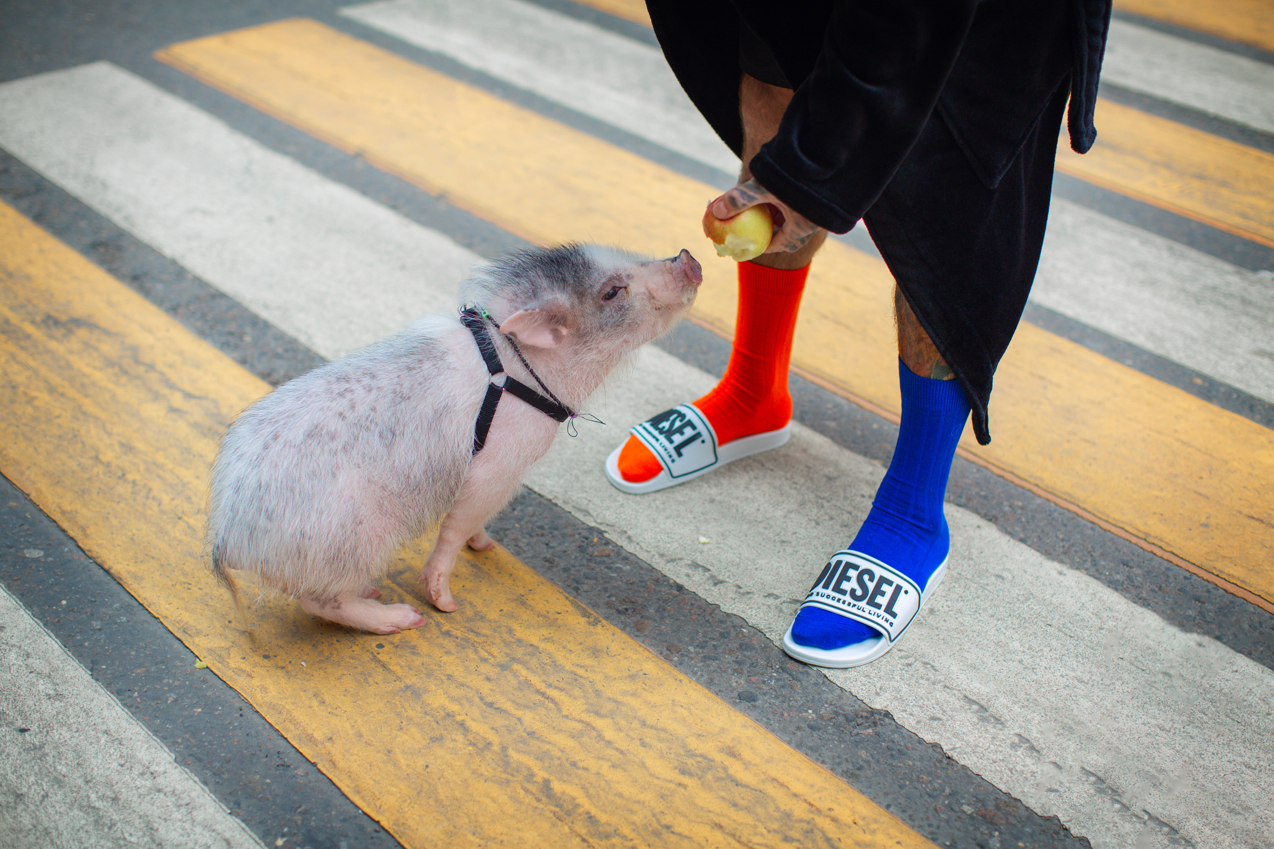 Денис Кузьмин (блогер Синяя Борода). Фотограф Москва I Чехов Вероника Долинская