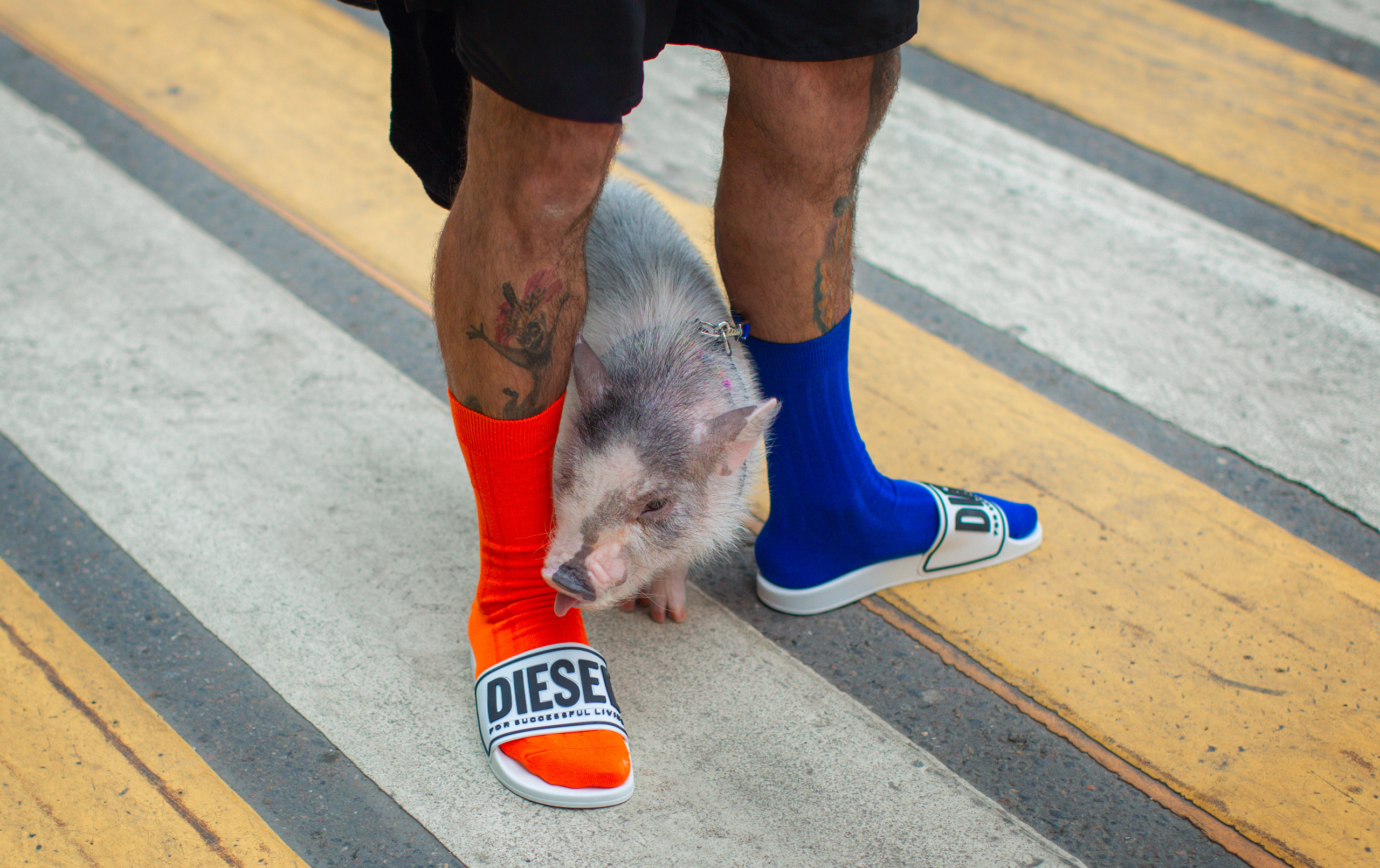 Денис Кузьмин (блогер Синяя Борода). Фотограф Москва I Чехов Вероника Долинская