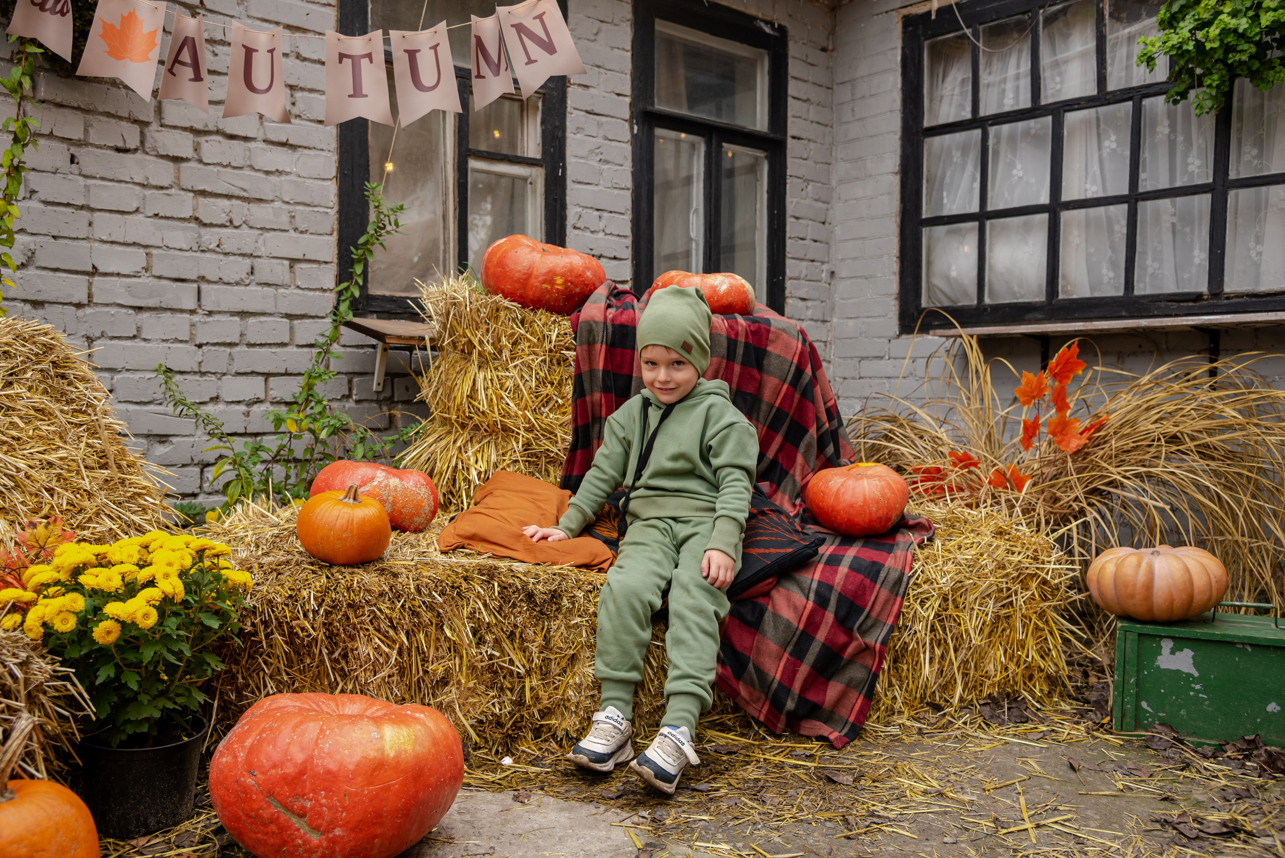 Авакадо. Фотограф Галина Нестерова