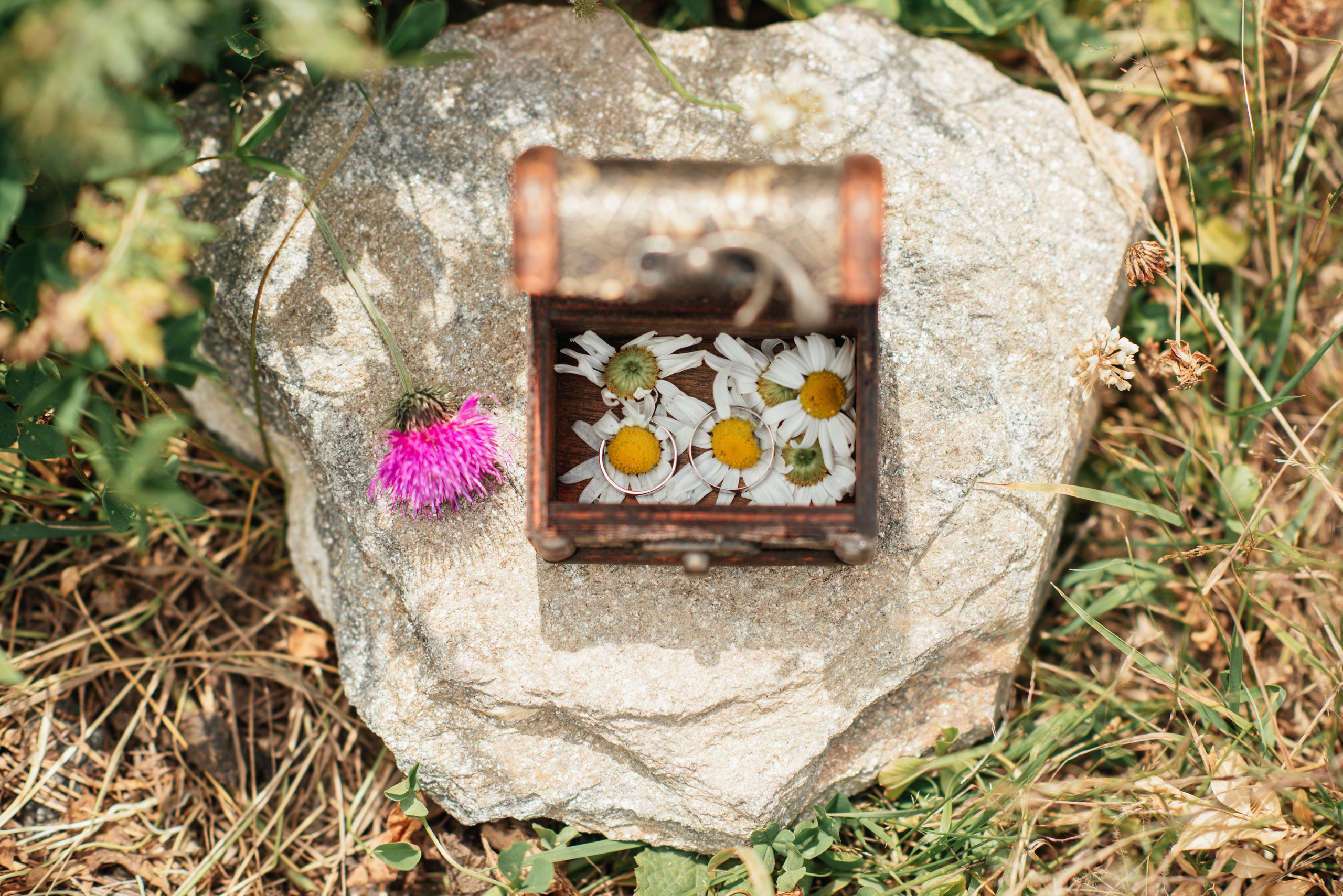 Горная романтичная и веселая история Саши и Даши. Свадебный и travel фотограф в Волгограде, Сочи, Домбае, Европе