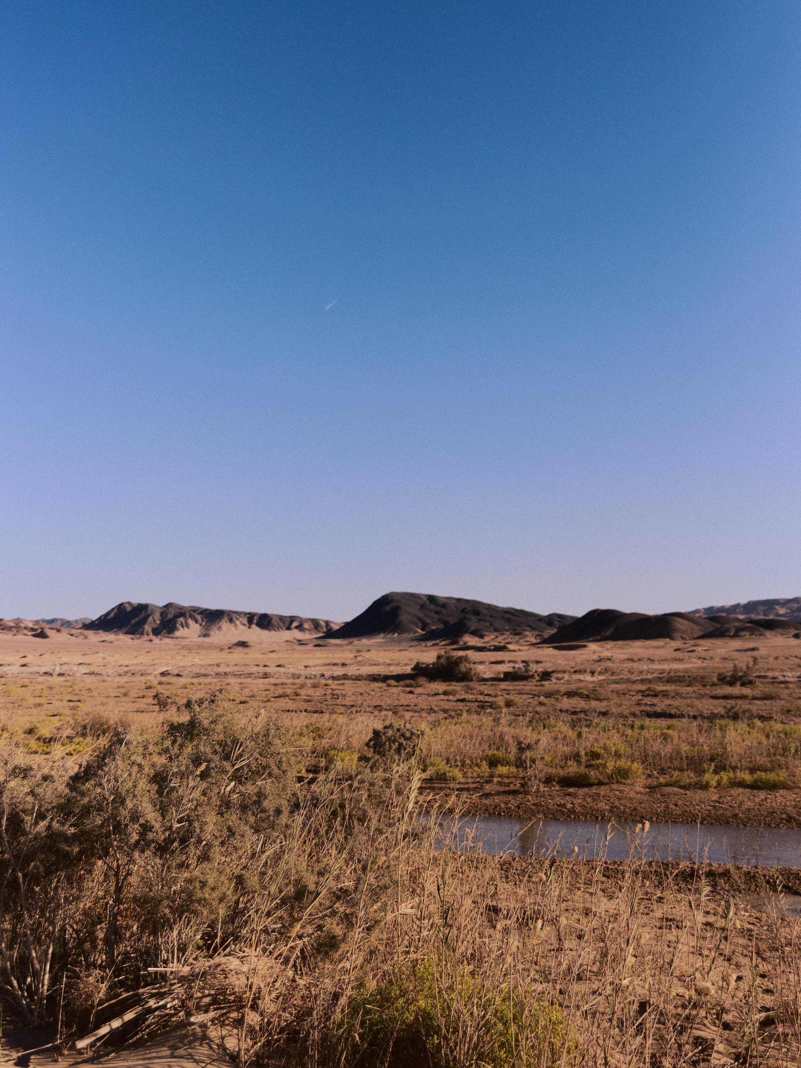 Природа. Jorgis Talè — photographer, kind person, teacher of arts and other mag