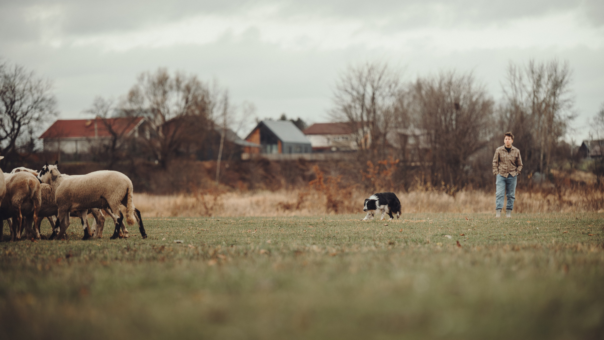 Настя и Рэги на ферме. Семейный фотограф анималист Ананьева Мария — Москва