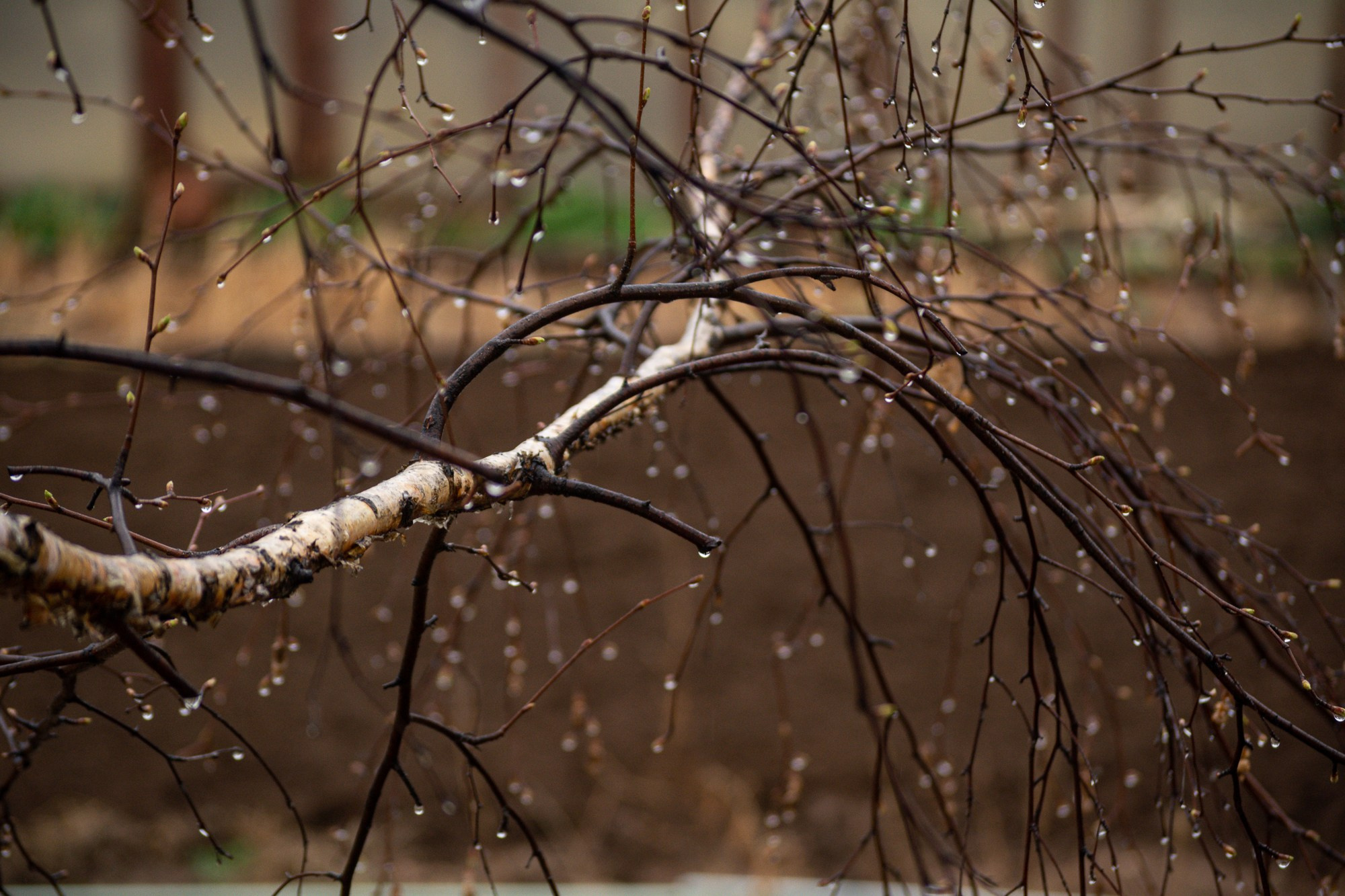 Разное. Репортажный фотограф г. Чита