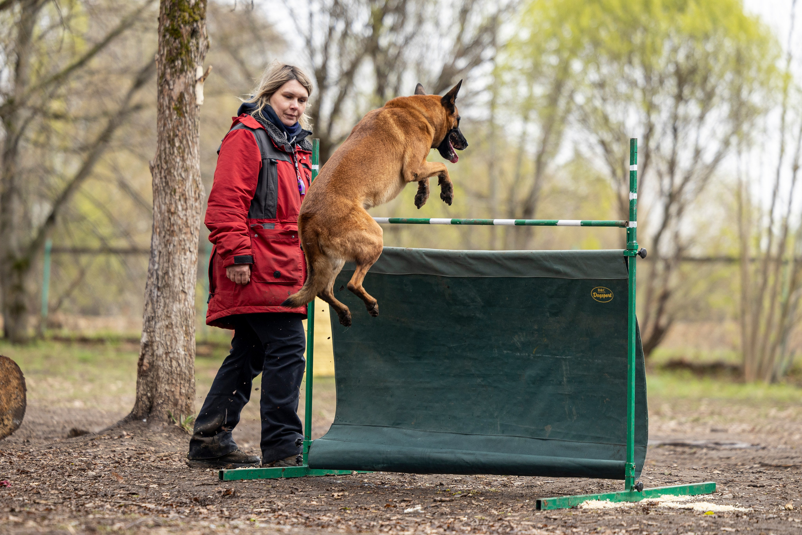 Квалификационные состязания по мондьорингу г. Вологда 11.05.24. Фотограф-анималист Анна Маринич