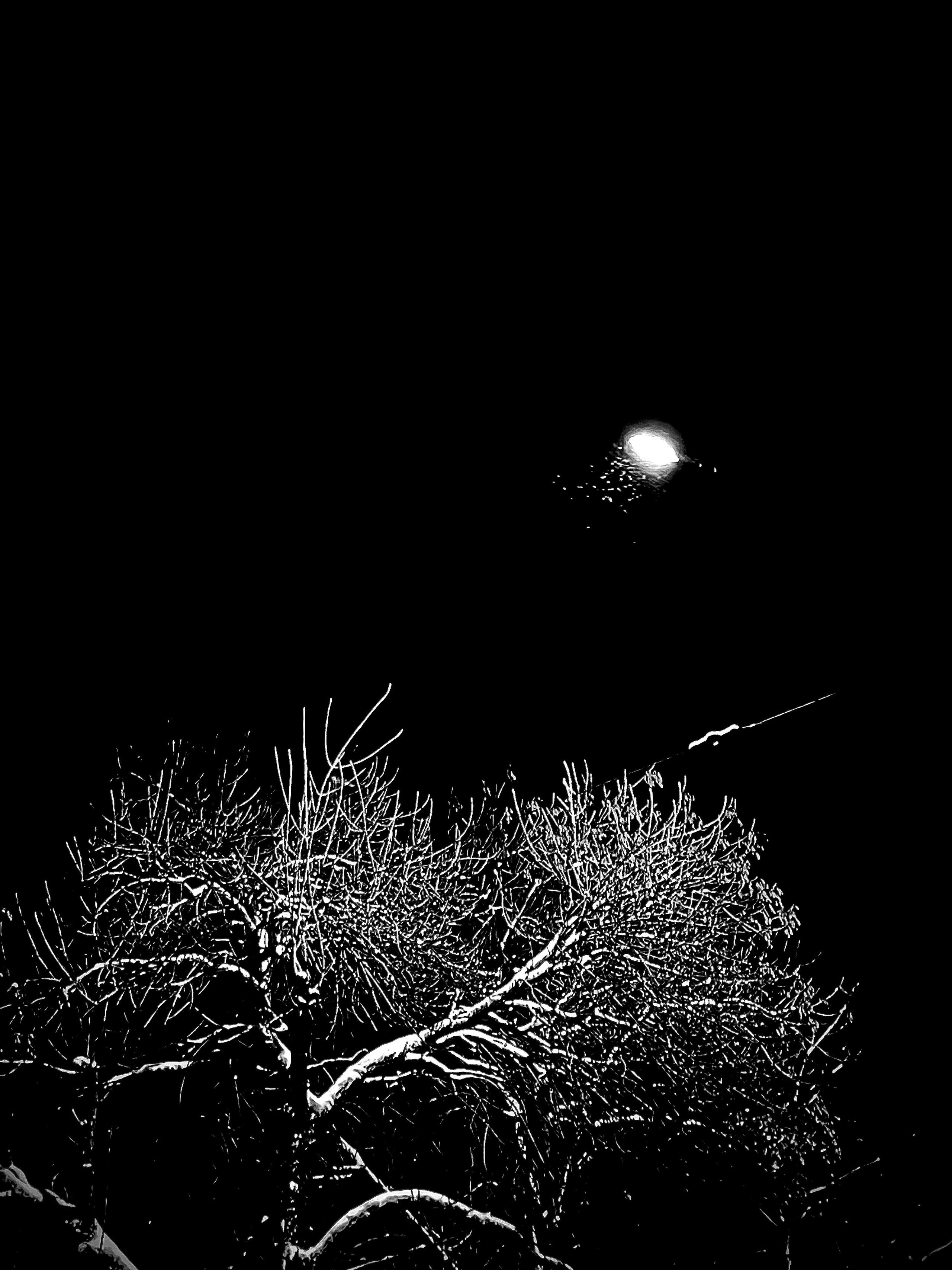 The dream of the dark world. Арт — фотограф Евгений Наймушин Новокузнецк