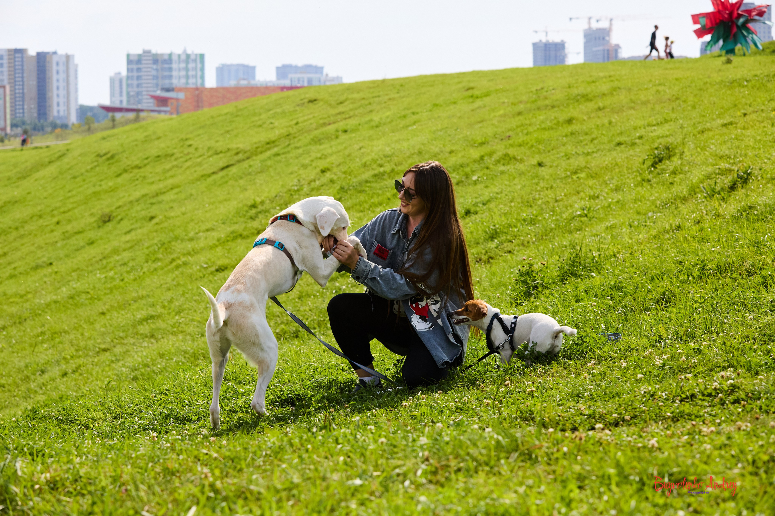 Проект фотопрогулка с хвостиком. Buyvolenko Andrey