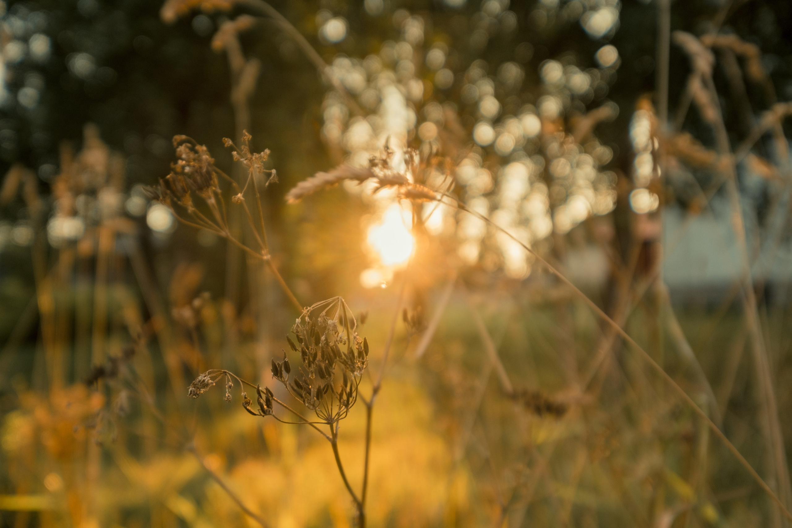 Фотографии Каргополя и красивые виды Русского Севера. Портретный, репортажный и пейзажный фотограф в Москве Сергей Арест