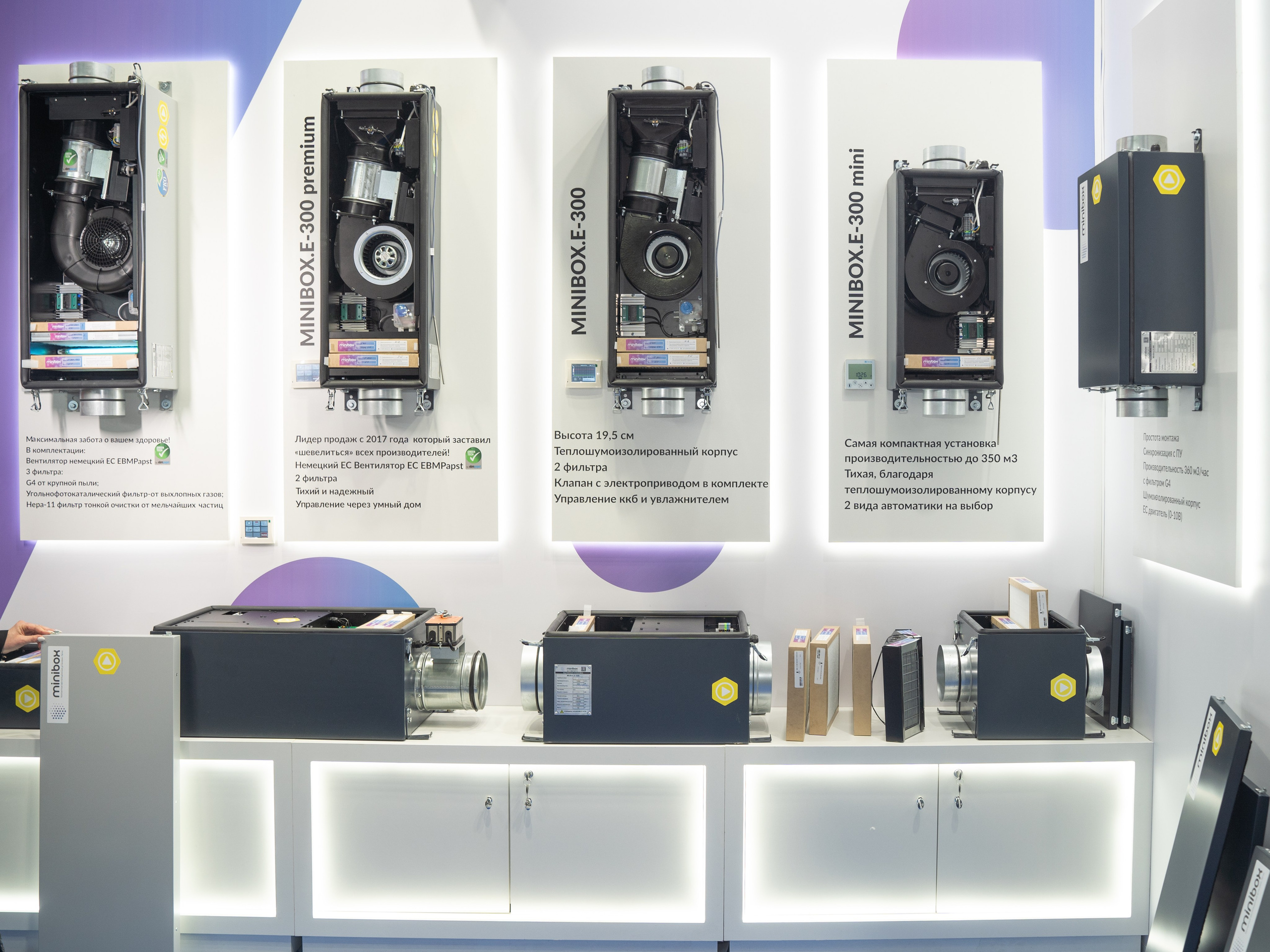 Крокус Вентиляция. Фотограф Зинаида Евдокимова