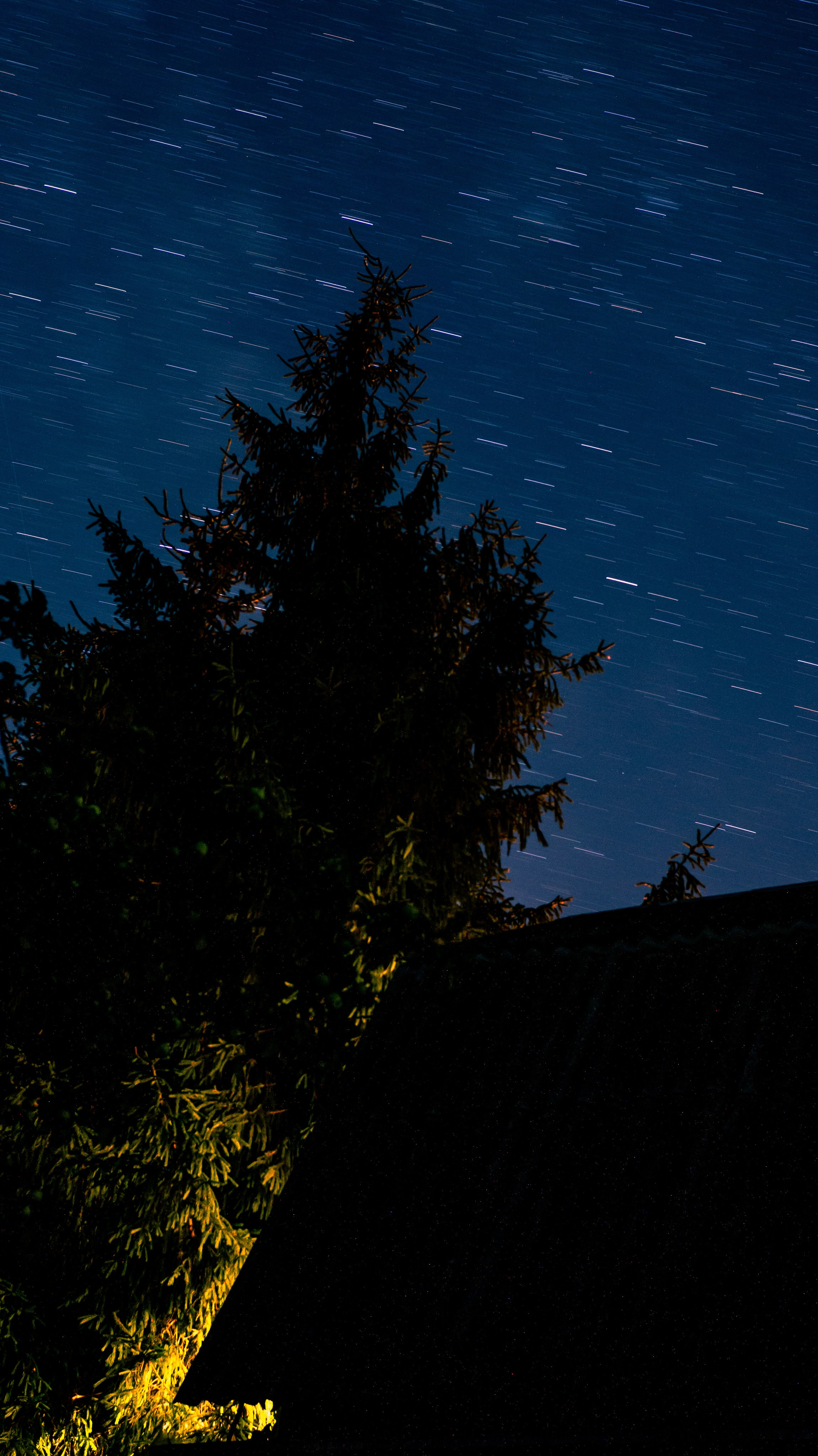 Wallpapers. Фотограф Казань