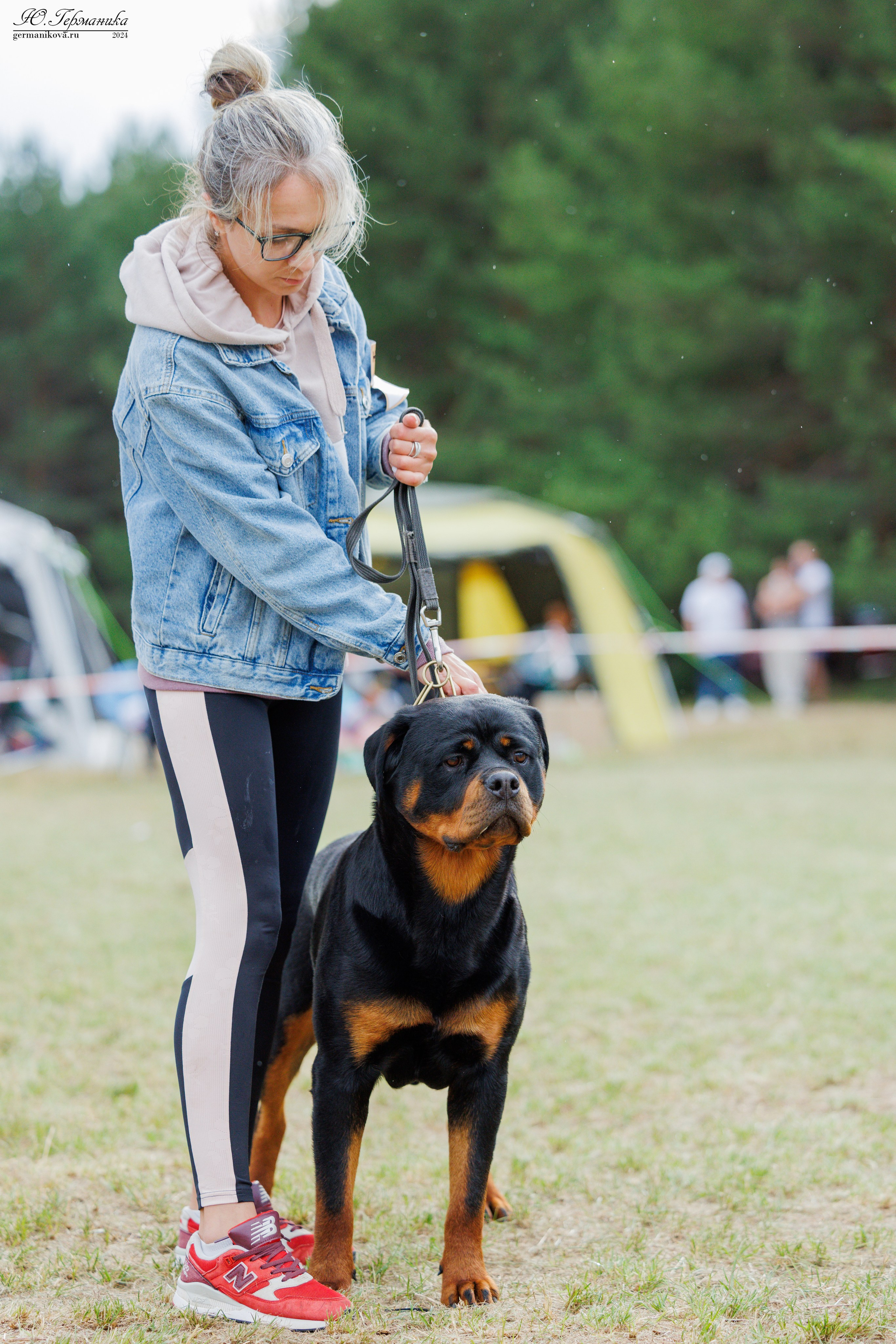 ПК и КЧК ротвейлеры Тверь 6-7.07.2024. Фотограф-анималист Юлия Германика