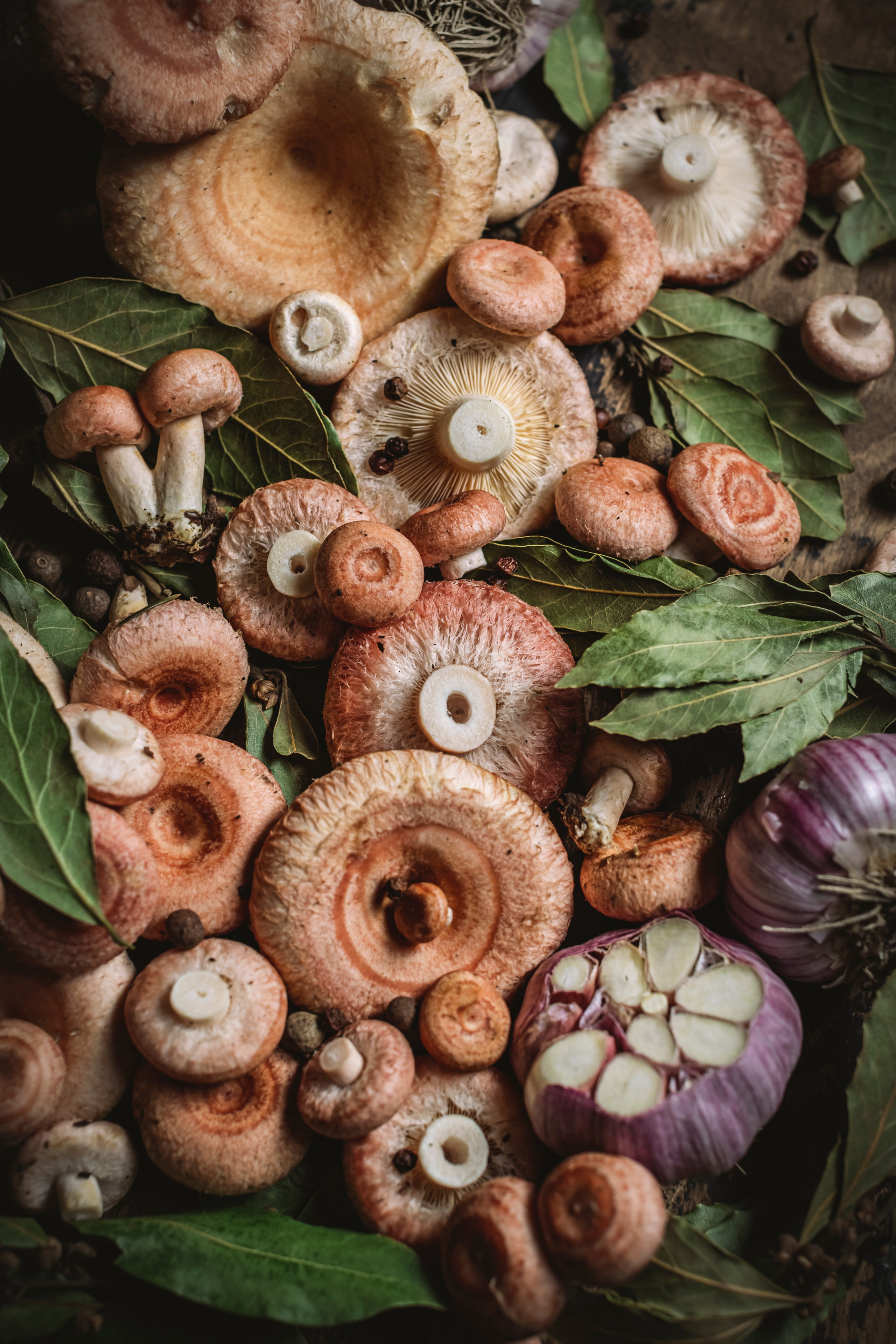 Mushrooms stories. Foodie Stories (гастрономические истории) рекламная фуд-фотосъёмка, Москва