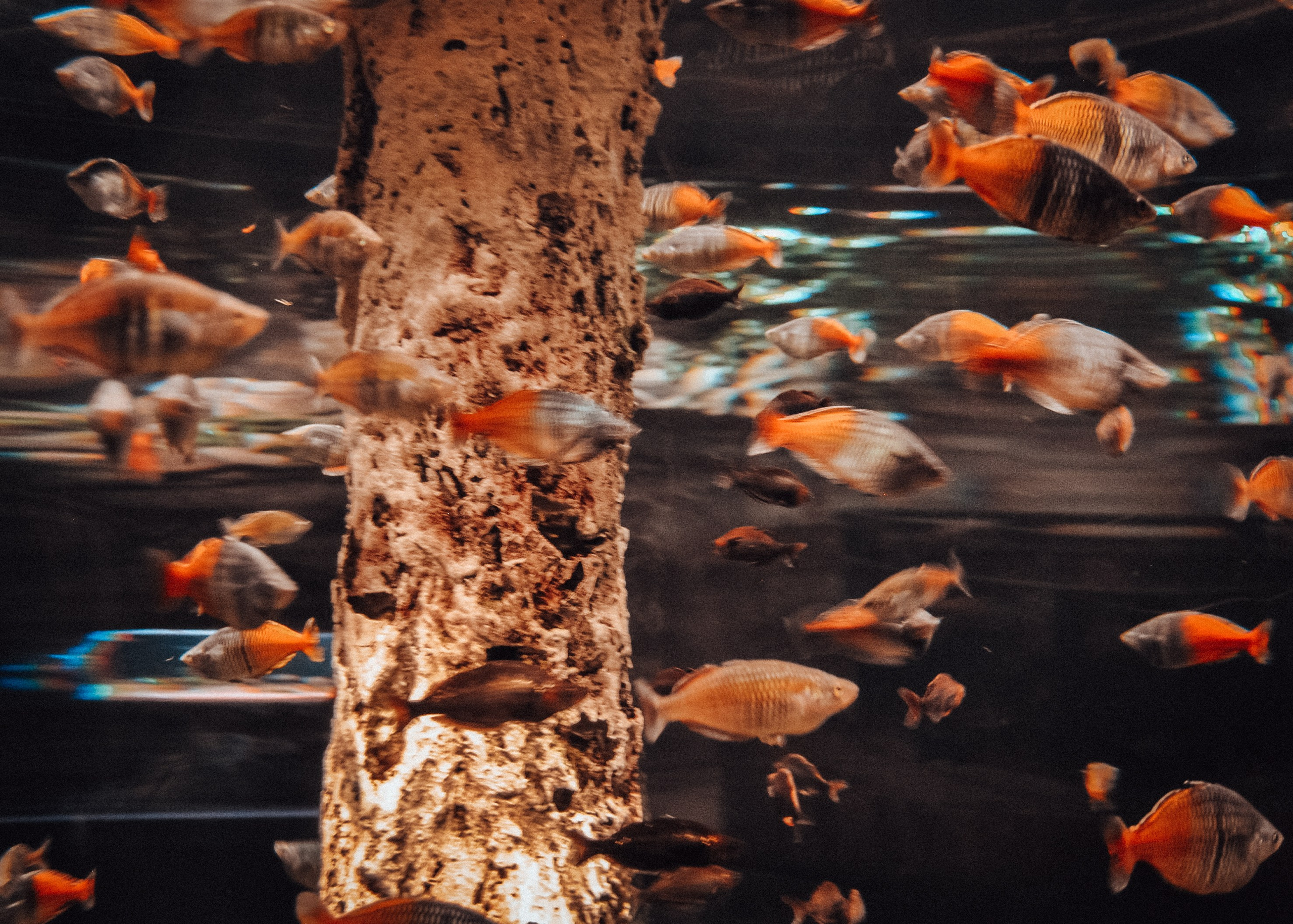 Аквапарк. Портретный фотограф DanilNabody