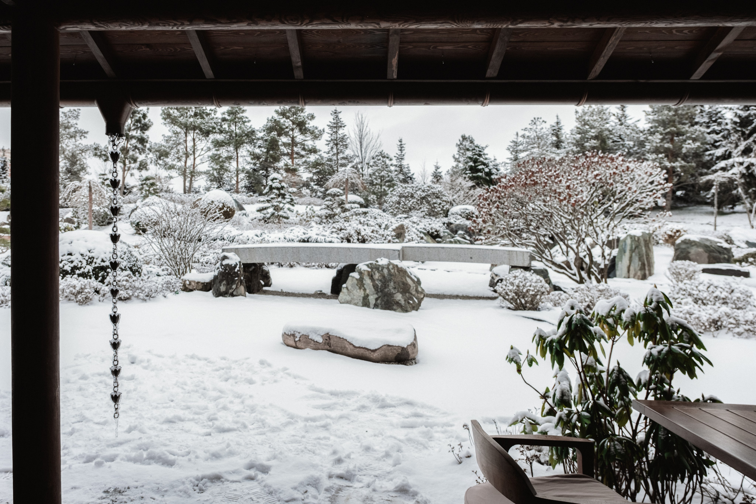 Japanese Garden in Krasnodar. Ekaterina Symidi. Interior Photographer