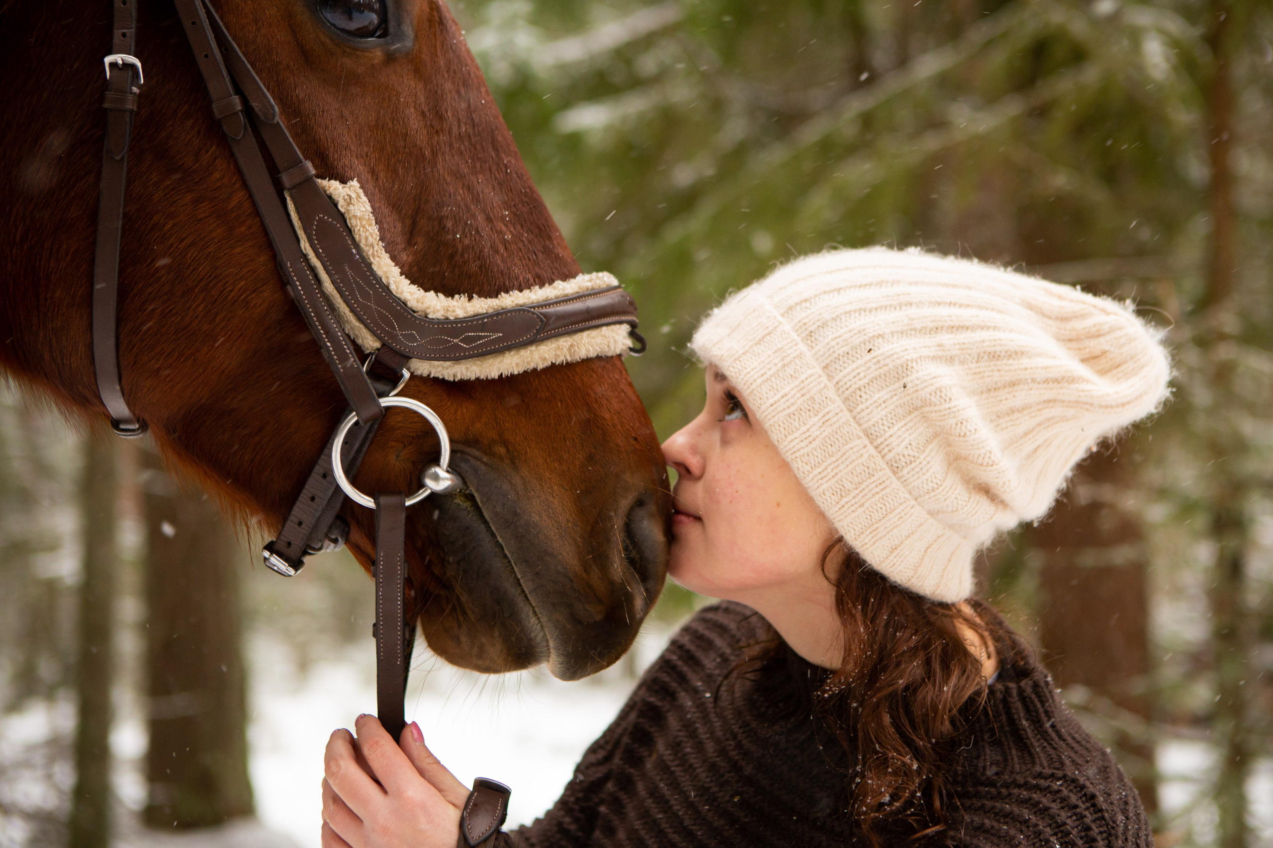 Конные фотосессии (съёмки с лошадьми). Главная