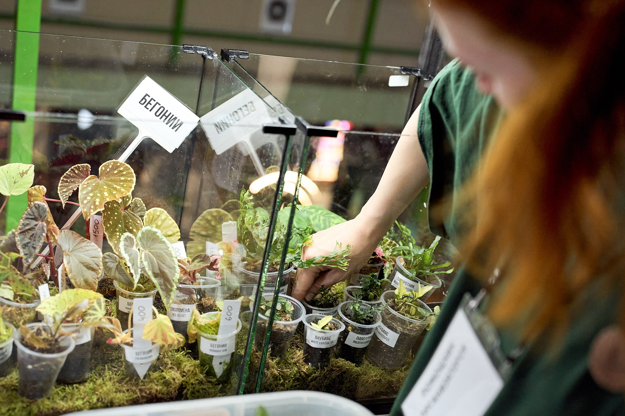 Мероприятие Botanika EXPO 2024. Andre Lejer