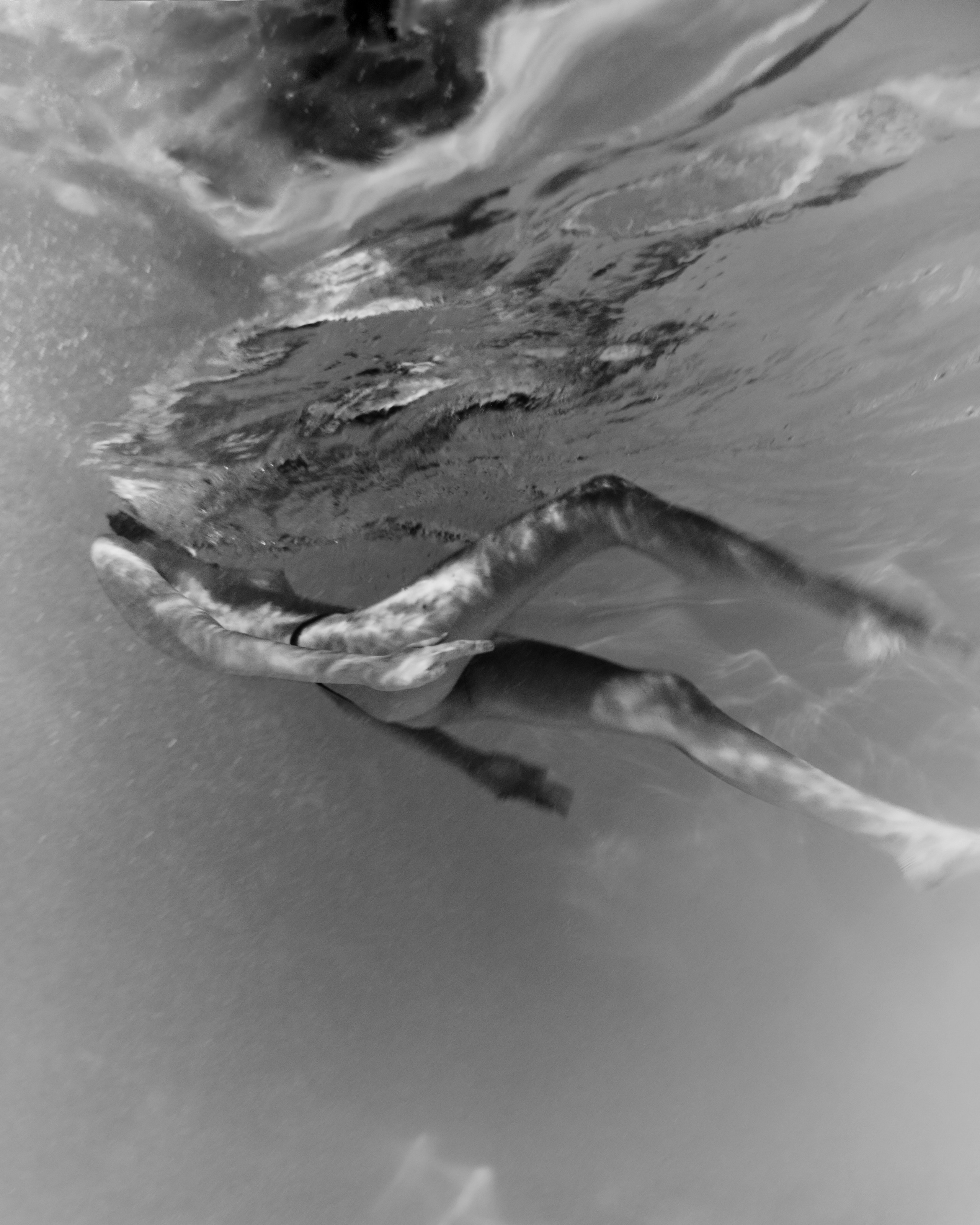 Mermaids. Z H U R A V L E V