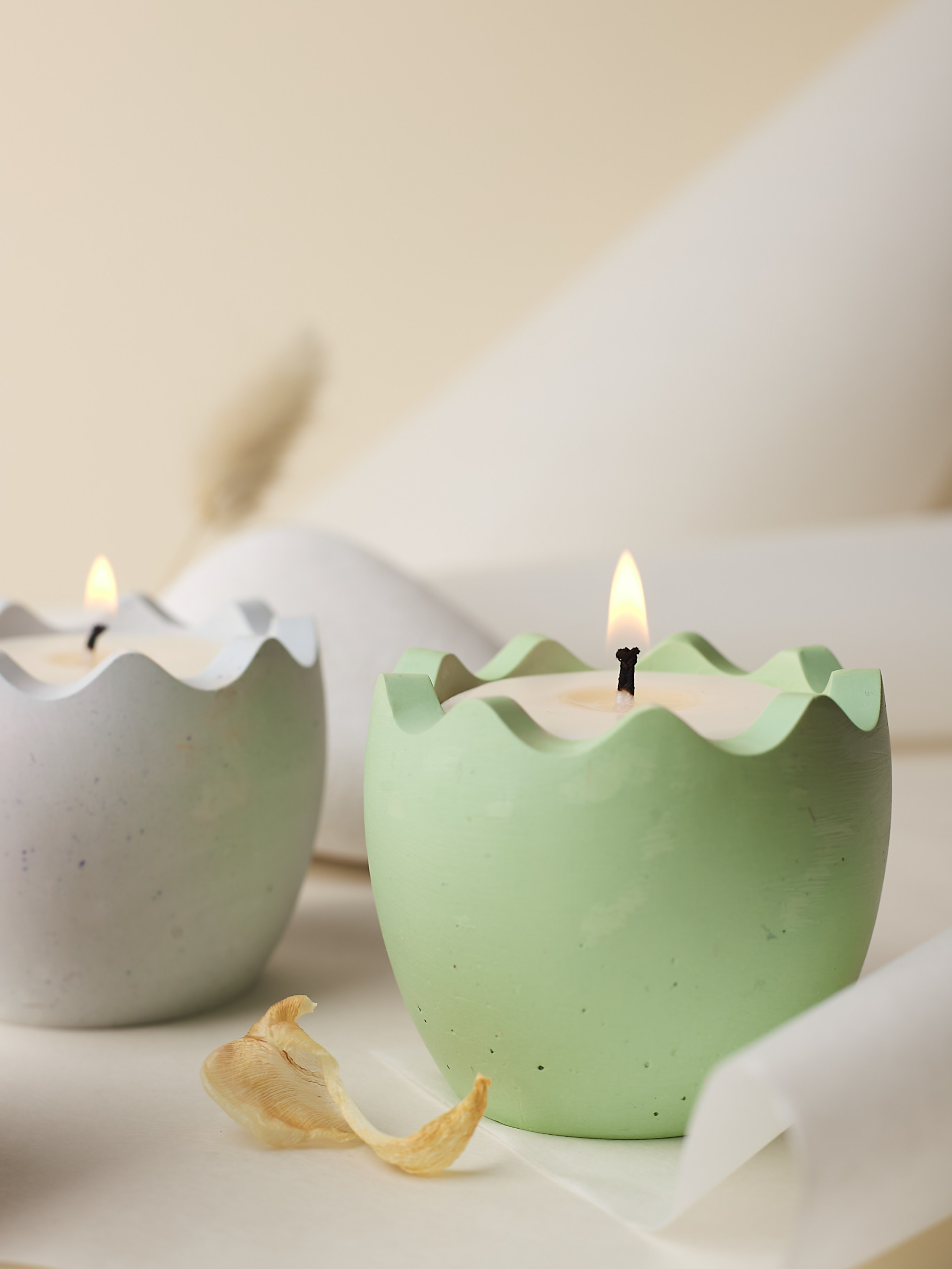 ТОВАРЫ ДЛЯ ДОМА. Предметный фотограф Евгения Ларчуженкова