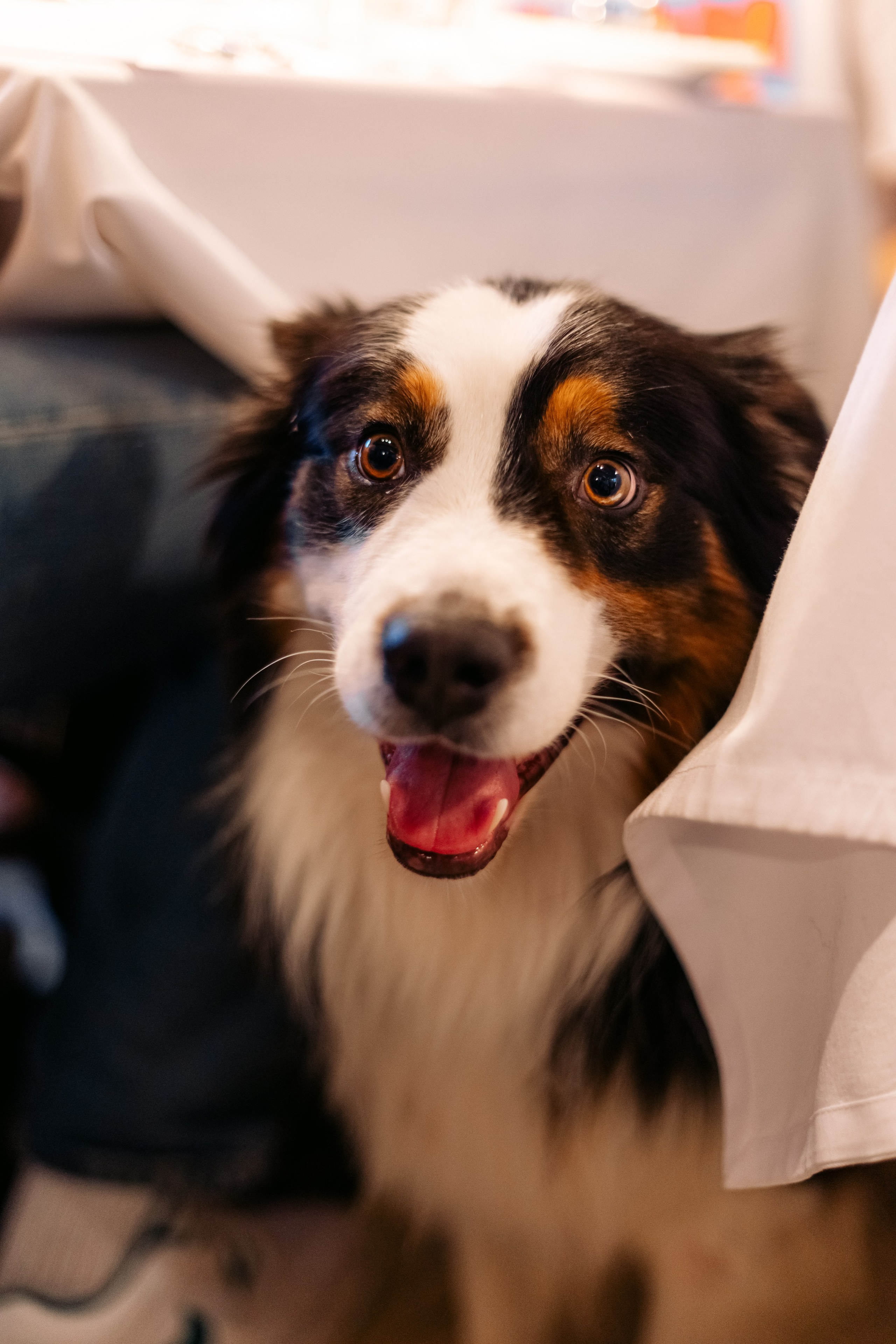 2024.03.30 Art-девичник. Ирина Бешляга. Фотограф в Москве и по всей России