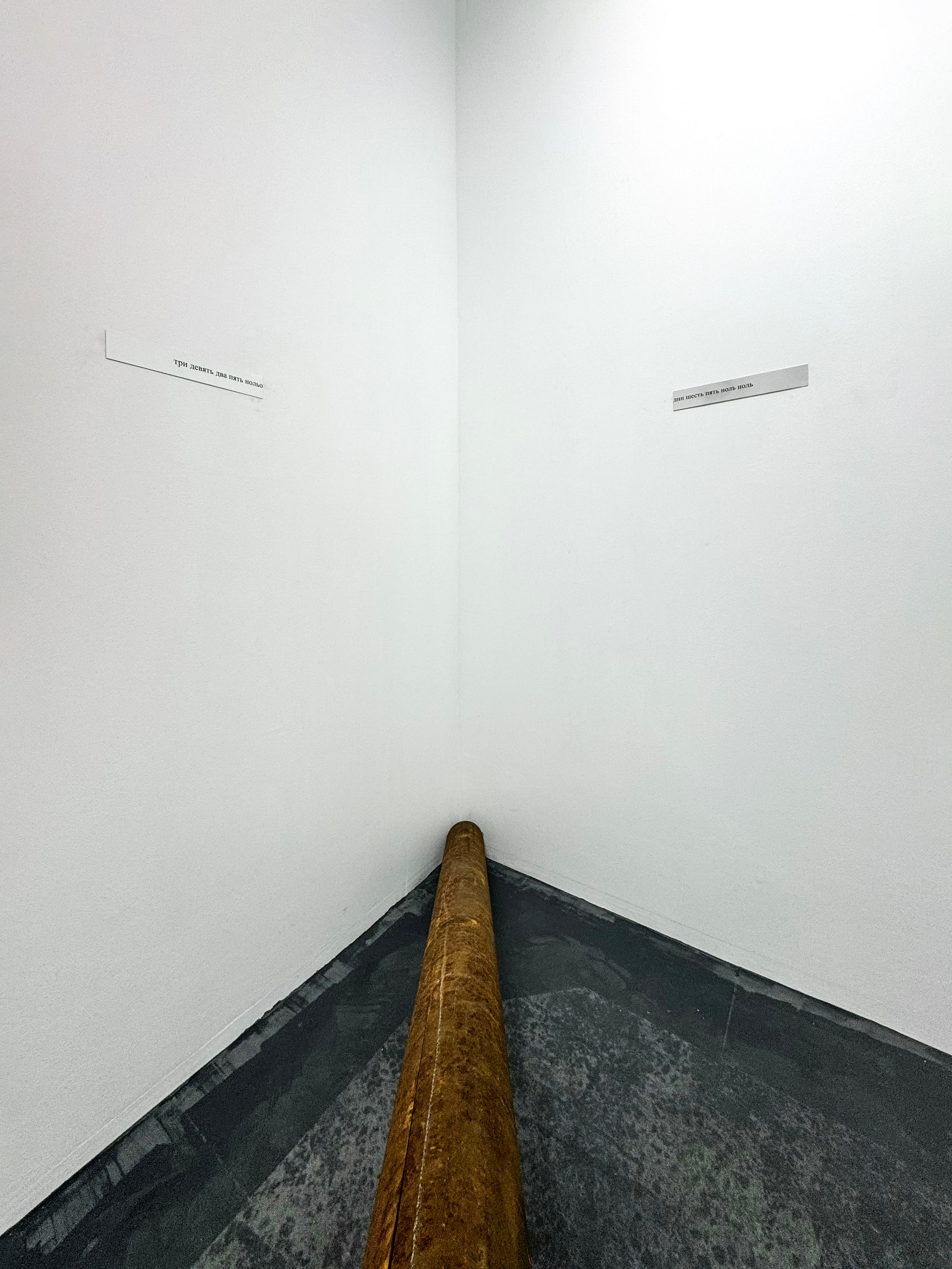 «застревание», выставка Ильи Михеева, 23.08-14.09, пространство пробел, Ростов-на-Дону. Лера Круглова