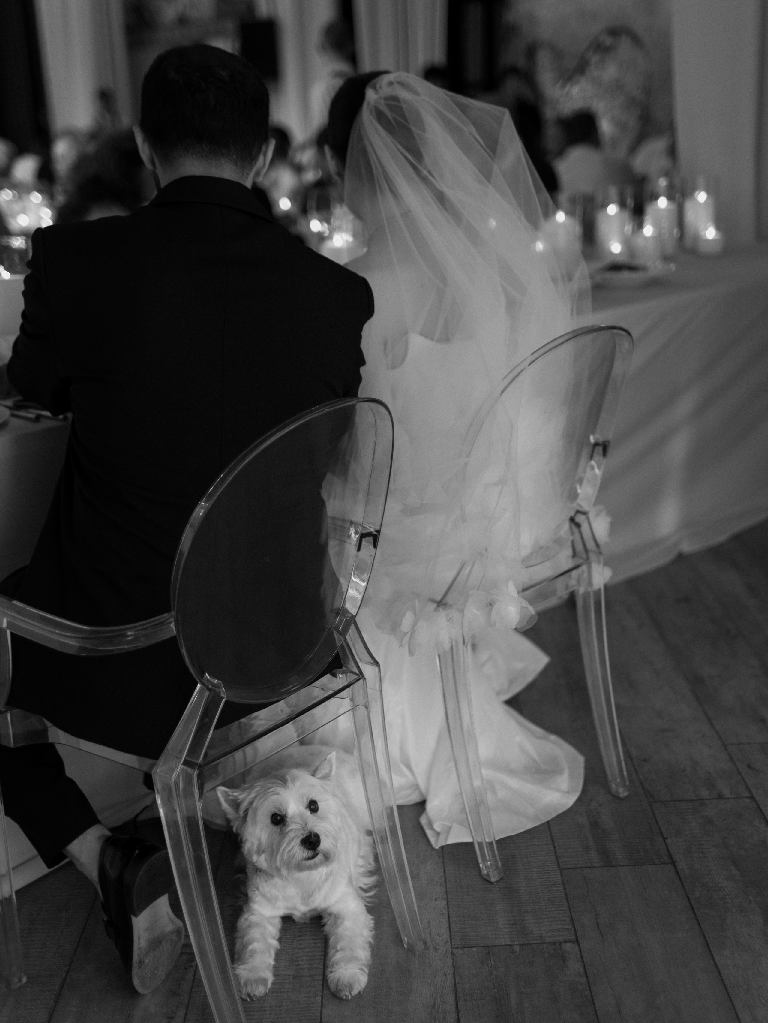 WEDDING. Свадебный фотограф Капаева Виктория