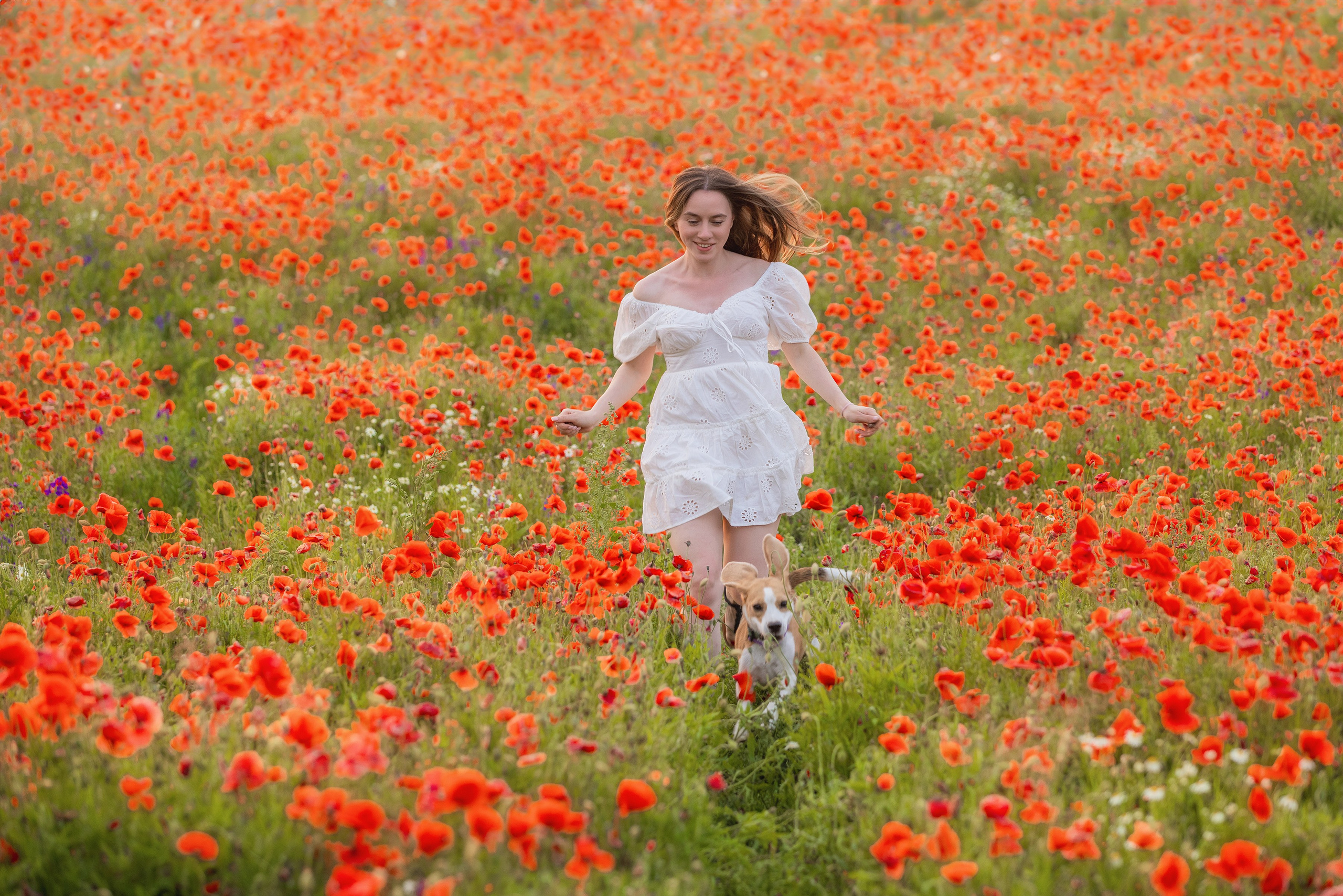 Маки 2024. Фотограф Алена Звездина