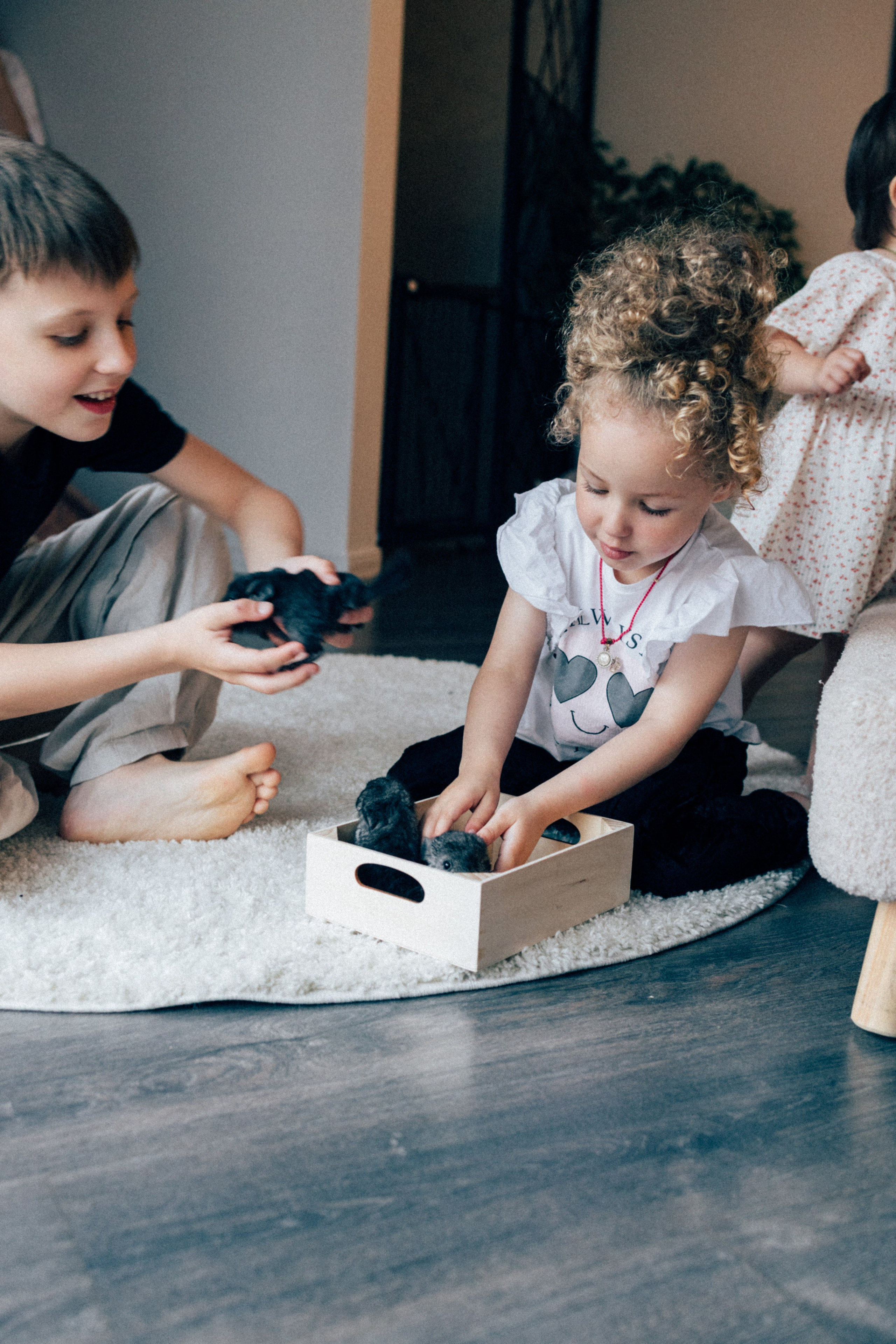 Lifstyle Фролкины. Семейный, женский и детский фотограф Татьяна Колобаева