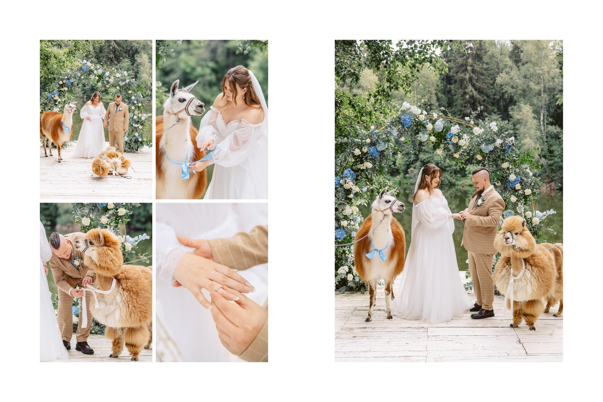 Свадебный фотограф Москва. Фотограф Москва — Павел Михайлов