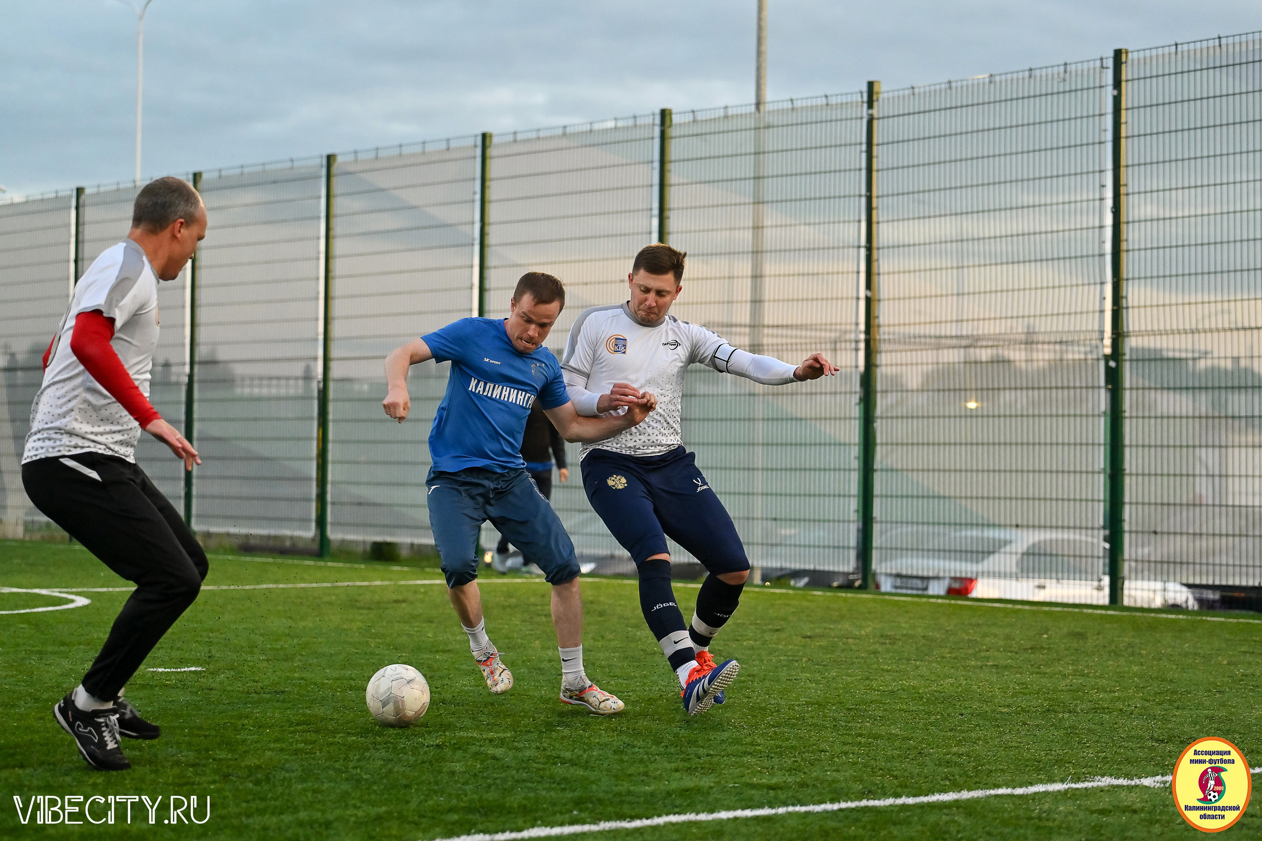 ИГРЫ МИНИ-ФУТБОЛЬНОЙ И КОРПОРАТИВНОЙ ЛИГИ. VIBECITY.RU Вайб Сити Ру Фоторепортажи Фотоотчеты Калининград