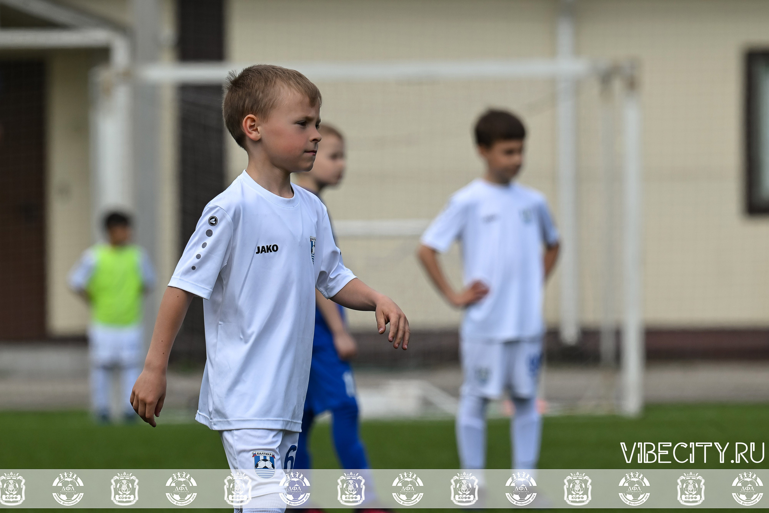 Большие Звезды светят Малым. VIBECITY.RU Вайб Сити Ру Фоторепортажи Фотоотчеты Калининград