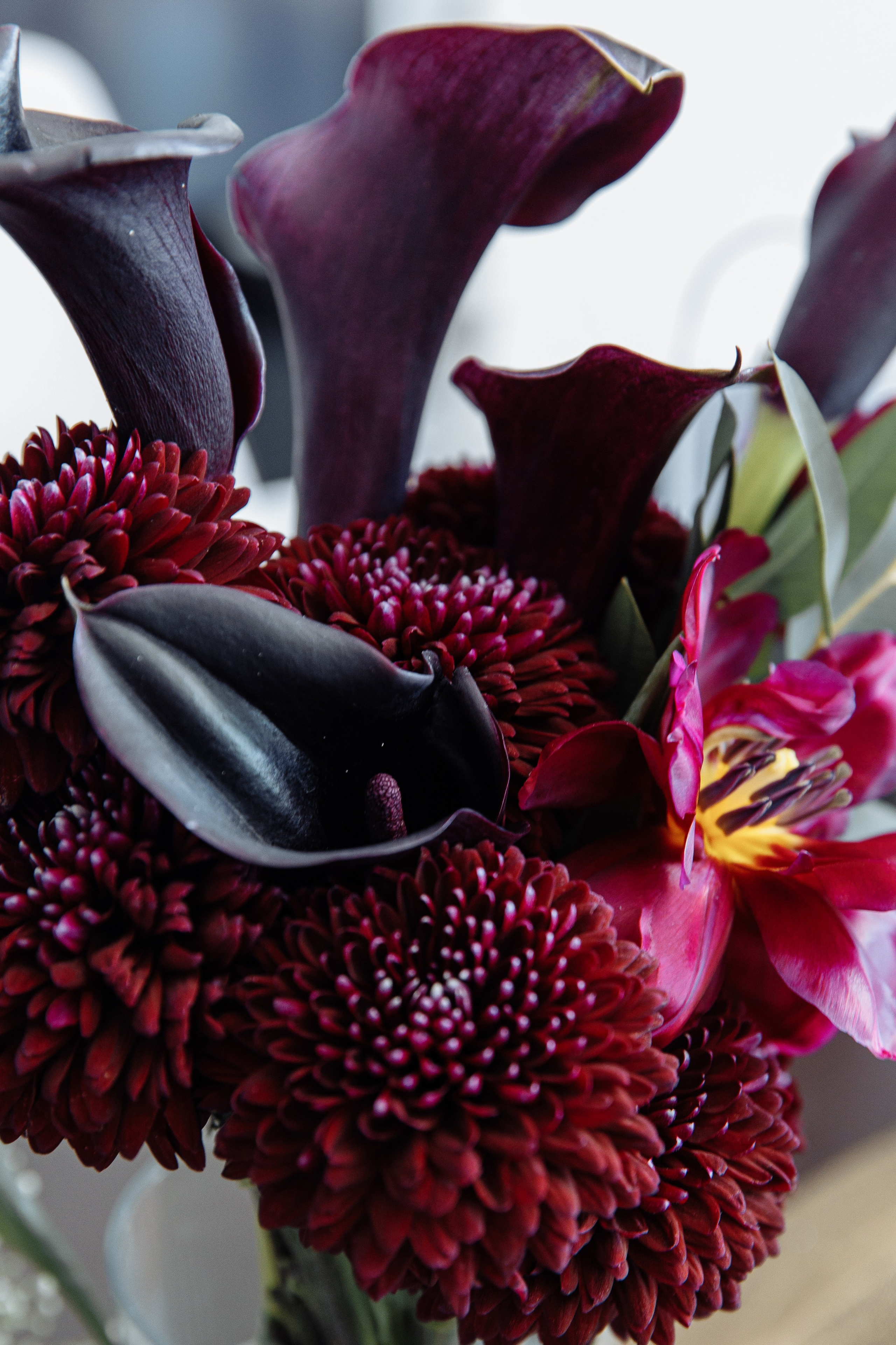 Wedding Brunch. Фотограф на Кипре Наталья Годына