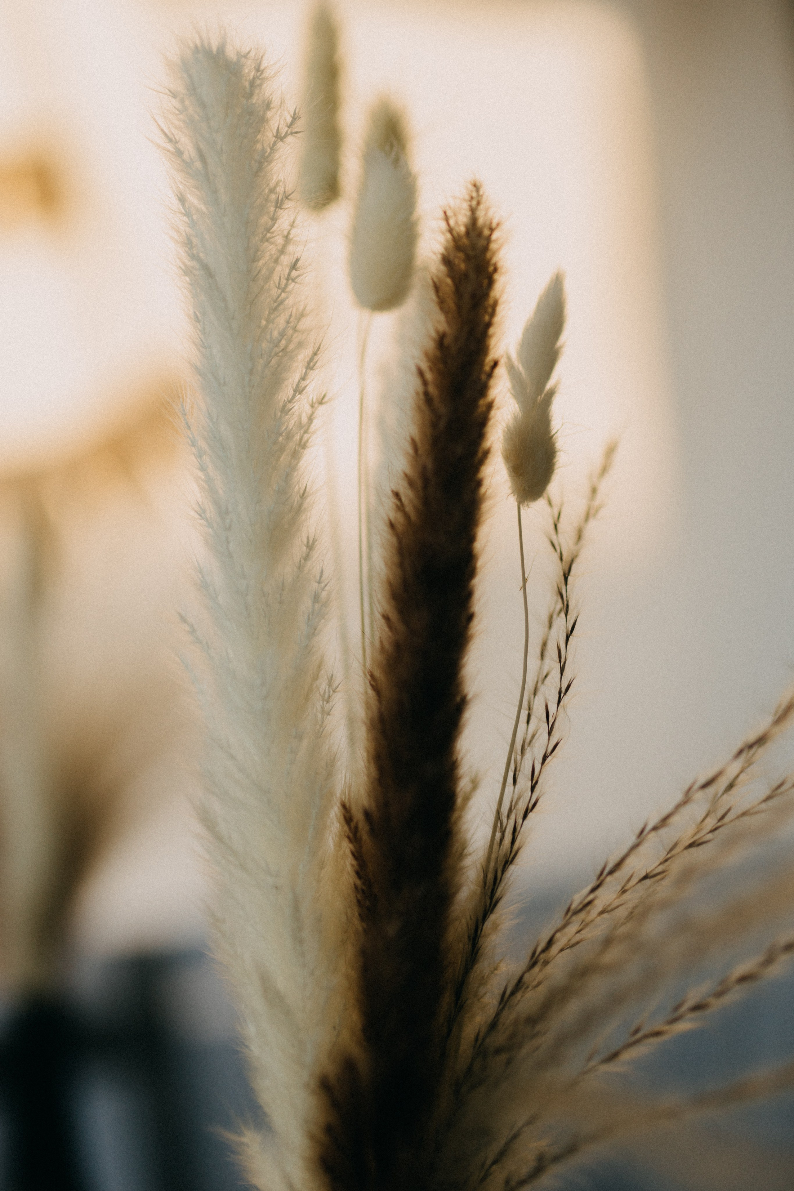 День Рождения Татьяны. Фотограф НОГИНСК, Москва, Анастасия Белая