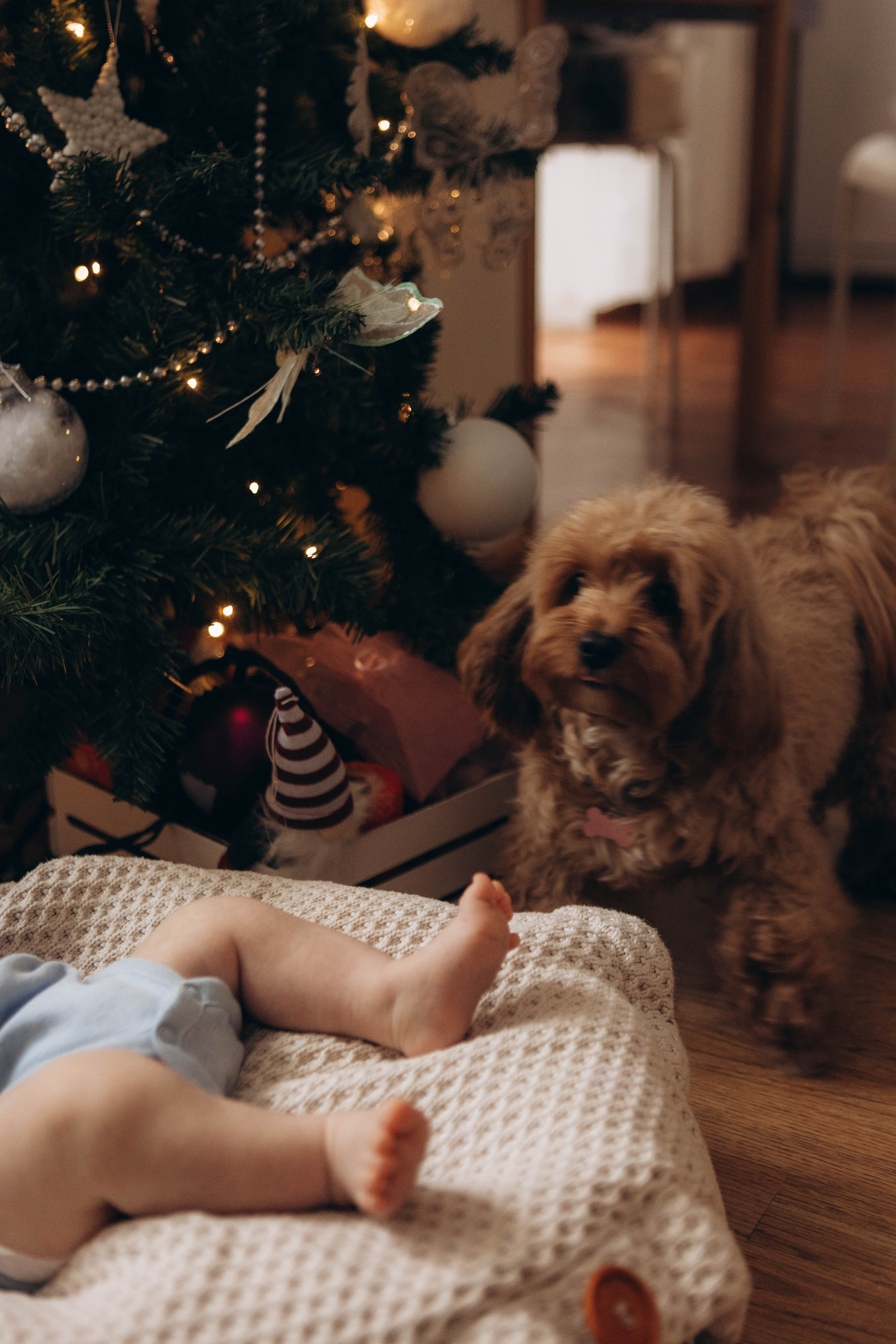 Георгий. Наталья Косьянова. Ваш фотограф. Москва