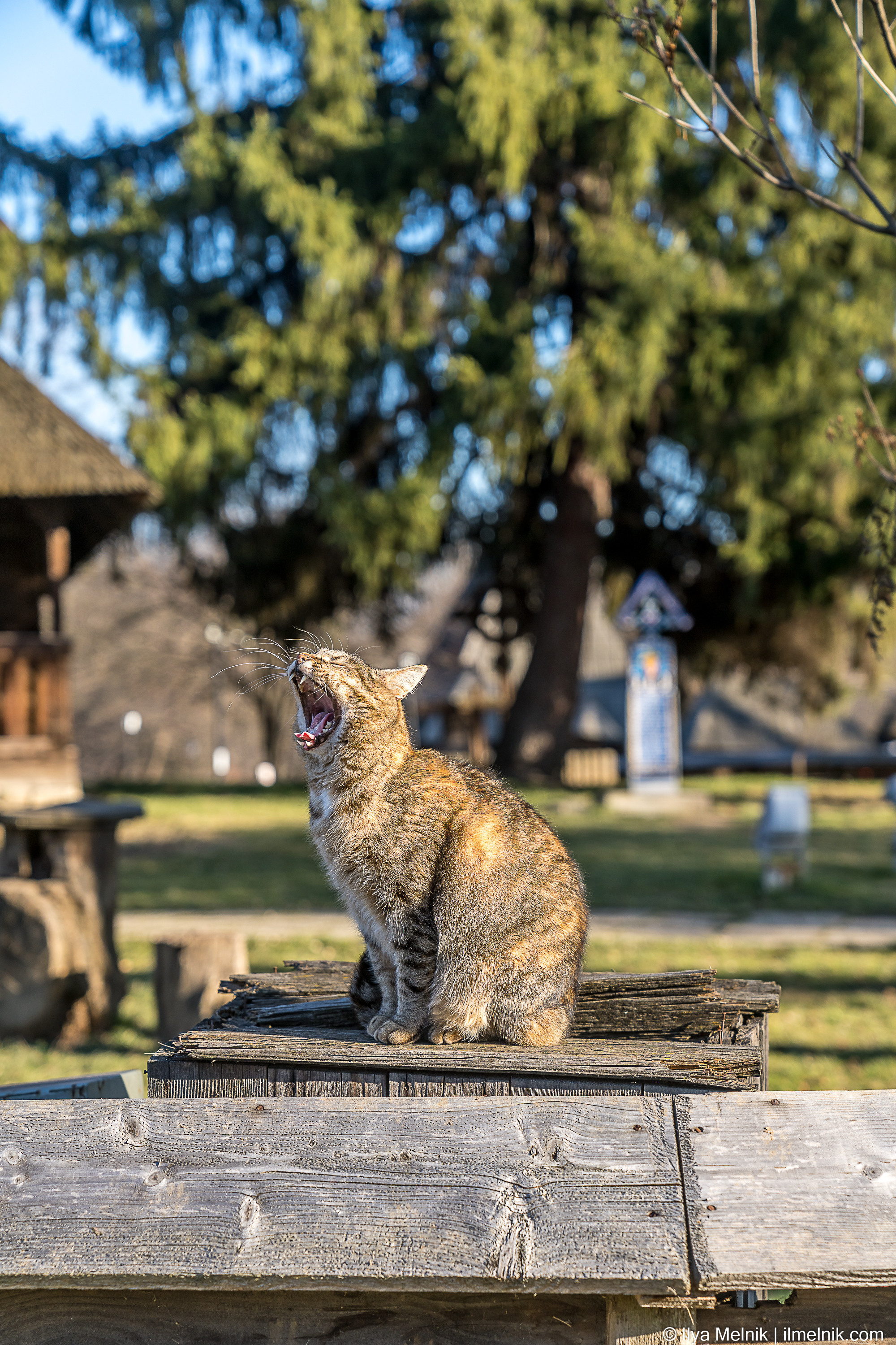 Romania. Ilya Melnik Photography