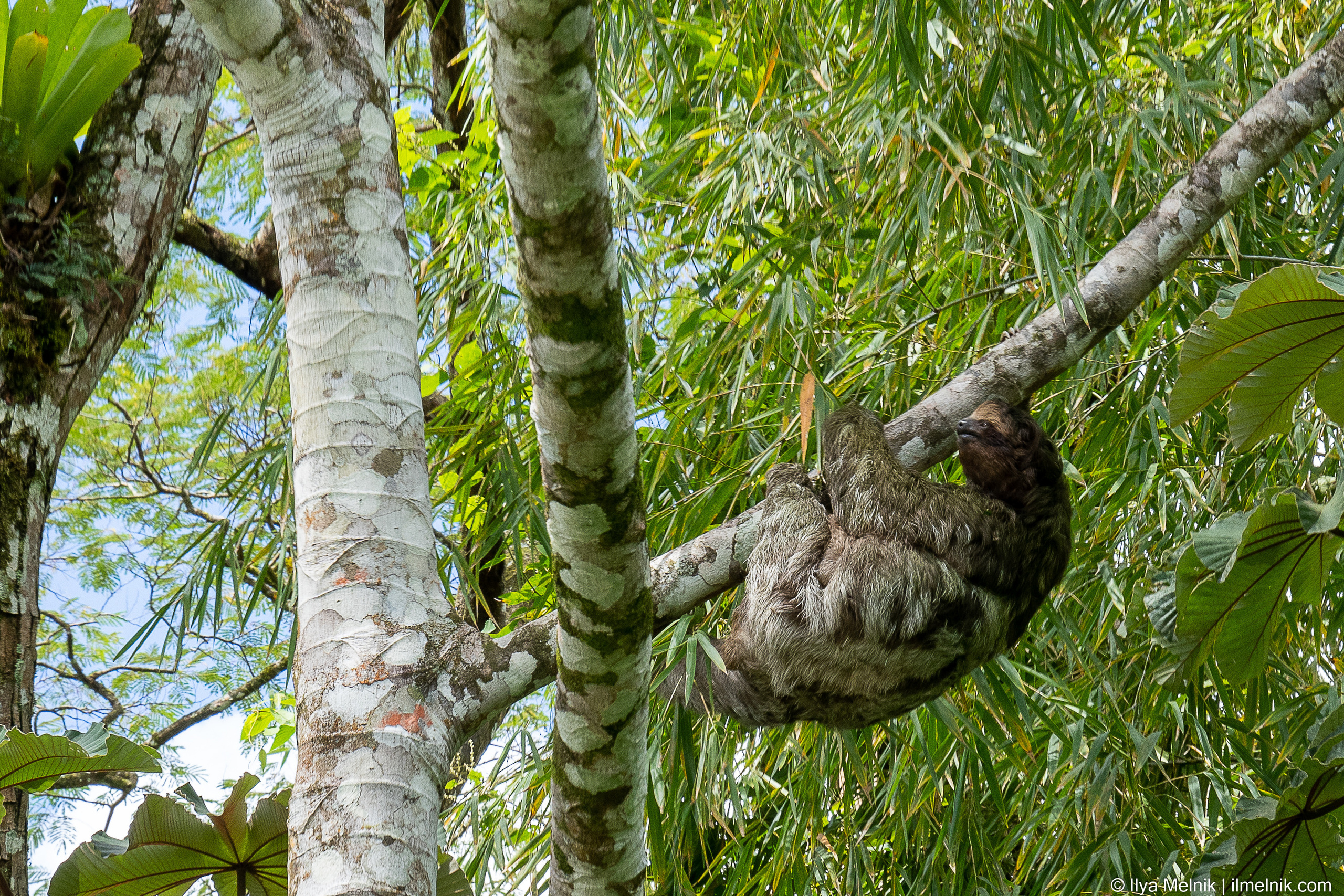 Costa-Rica. Ilya Melnik Photography