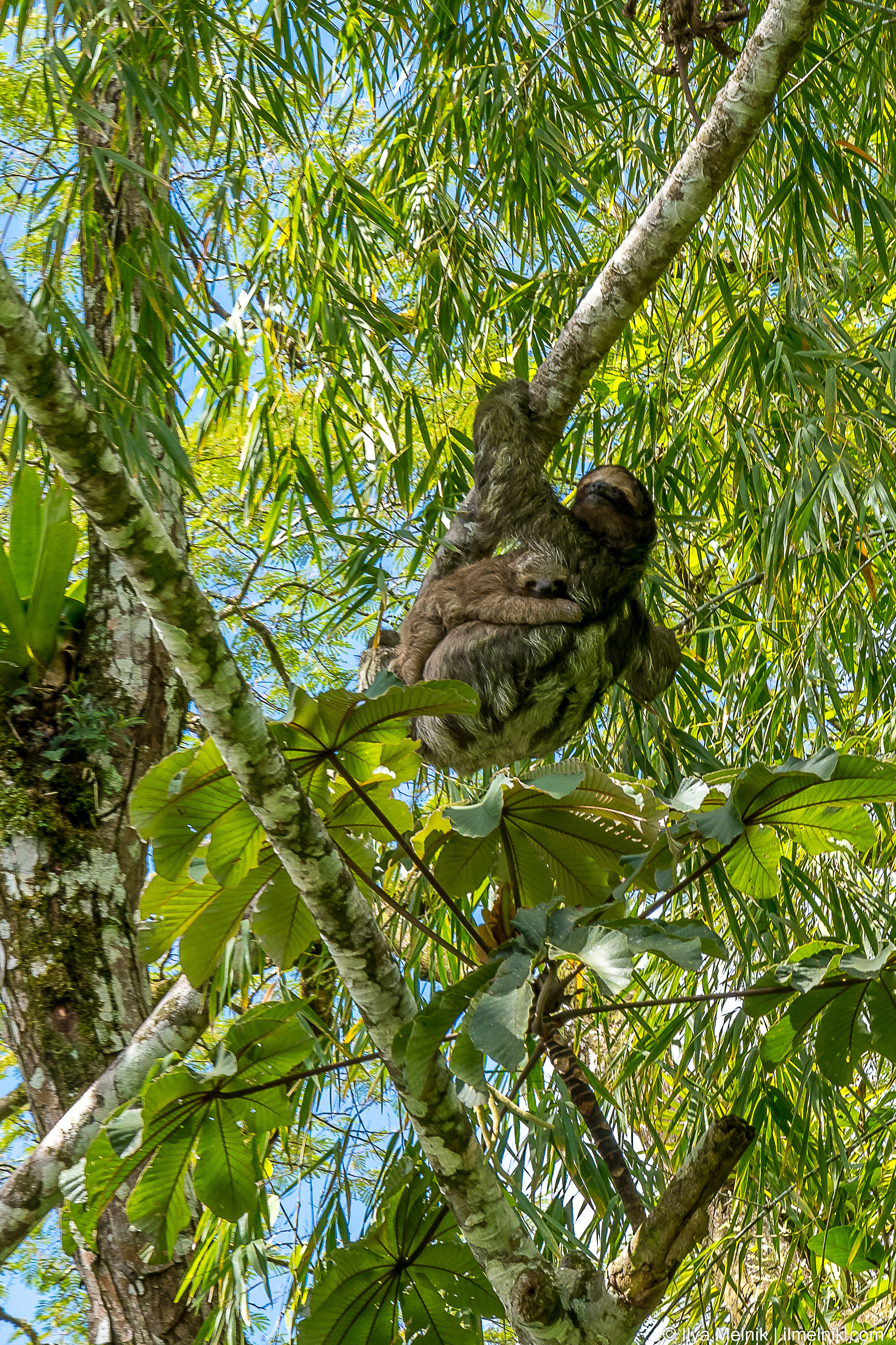 Costa-Rica. Ilya Melnik Photography