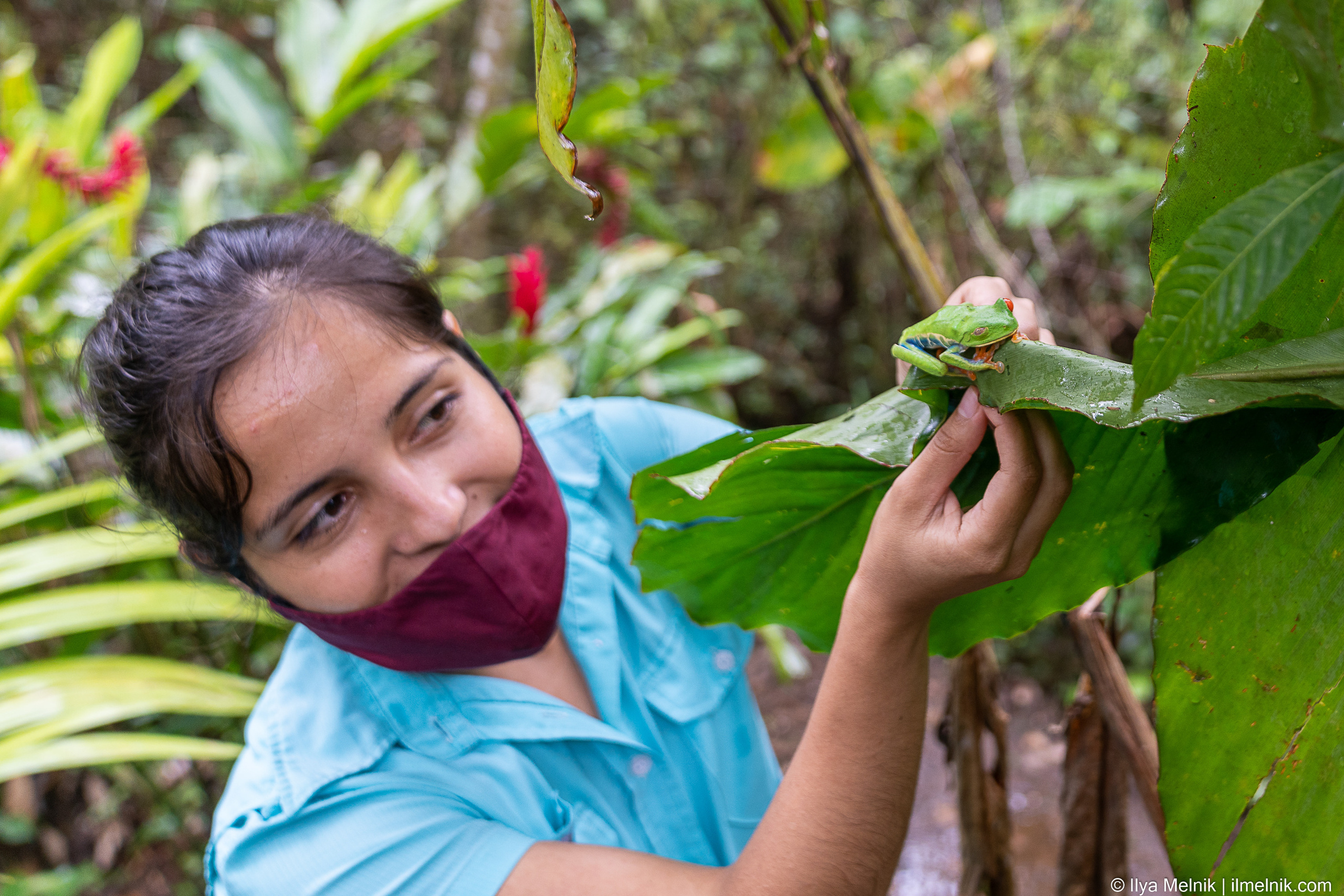 Costa-Rica. Ilya Melnik Photography