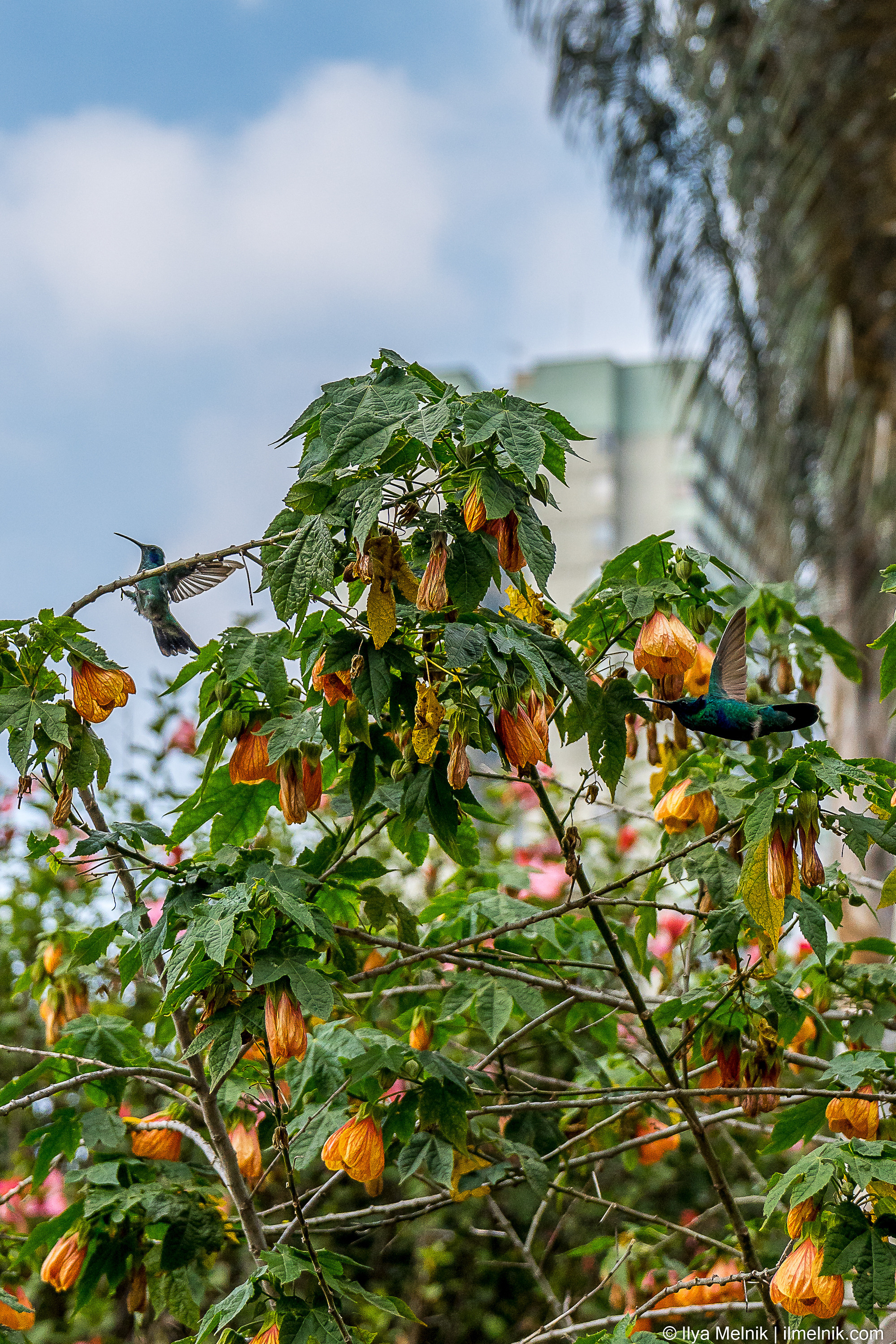 Colombia. Ilya Melnik Photography