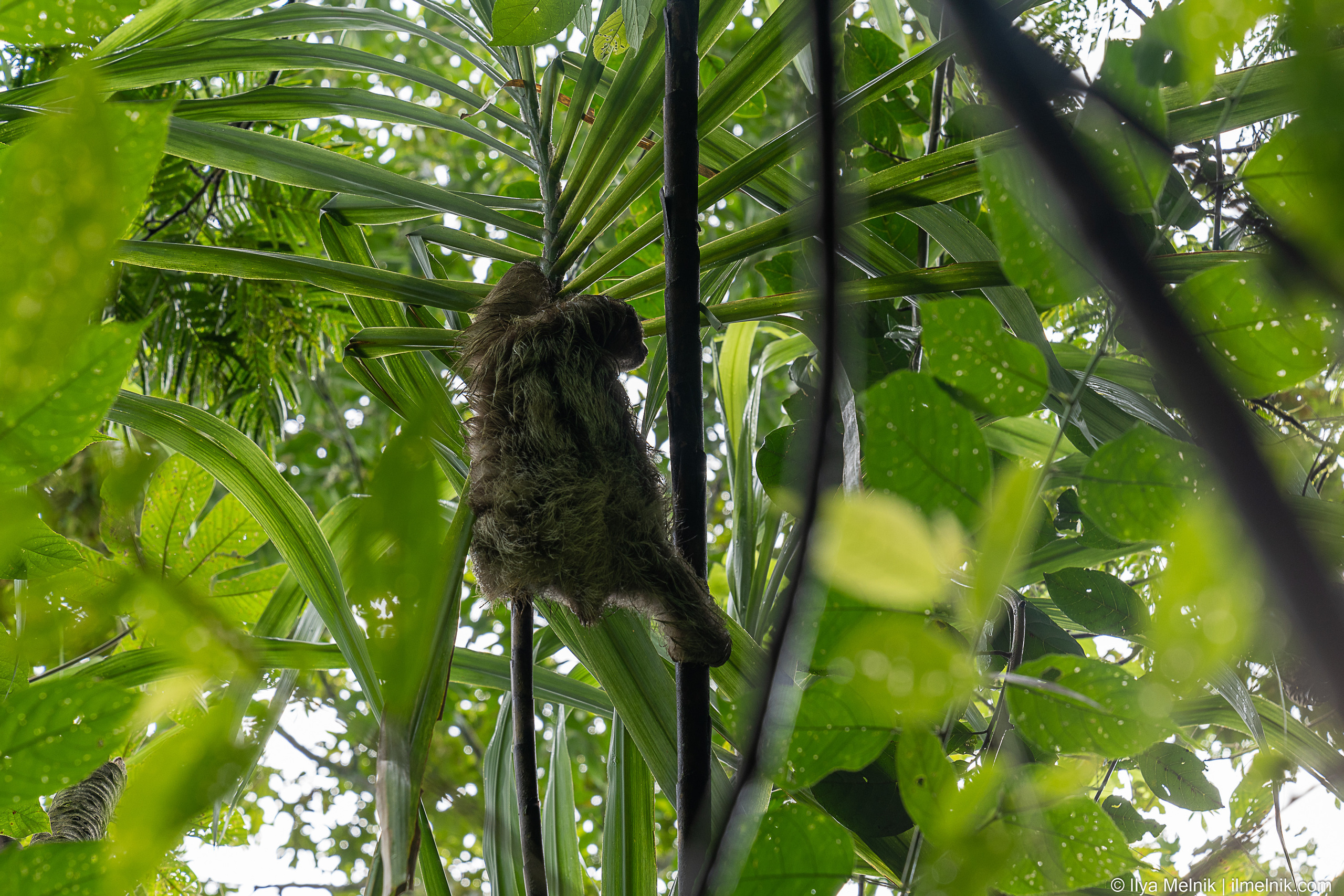 Costa-Rica. Ilya Melnik Photography