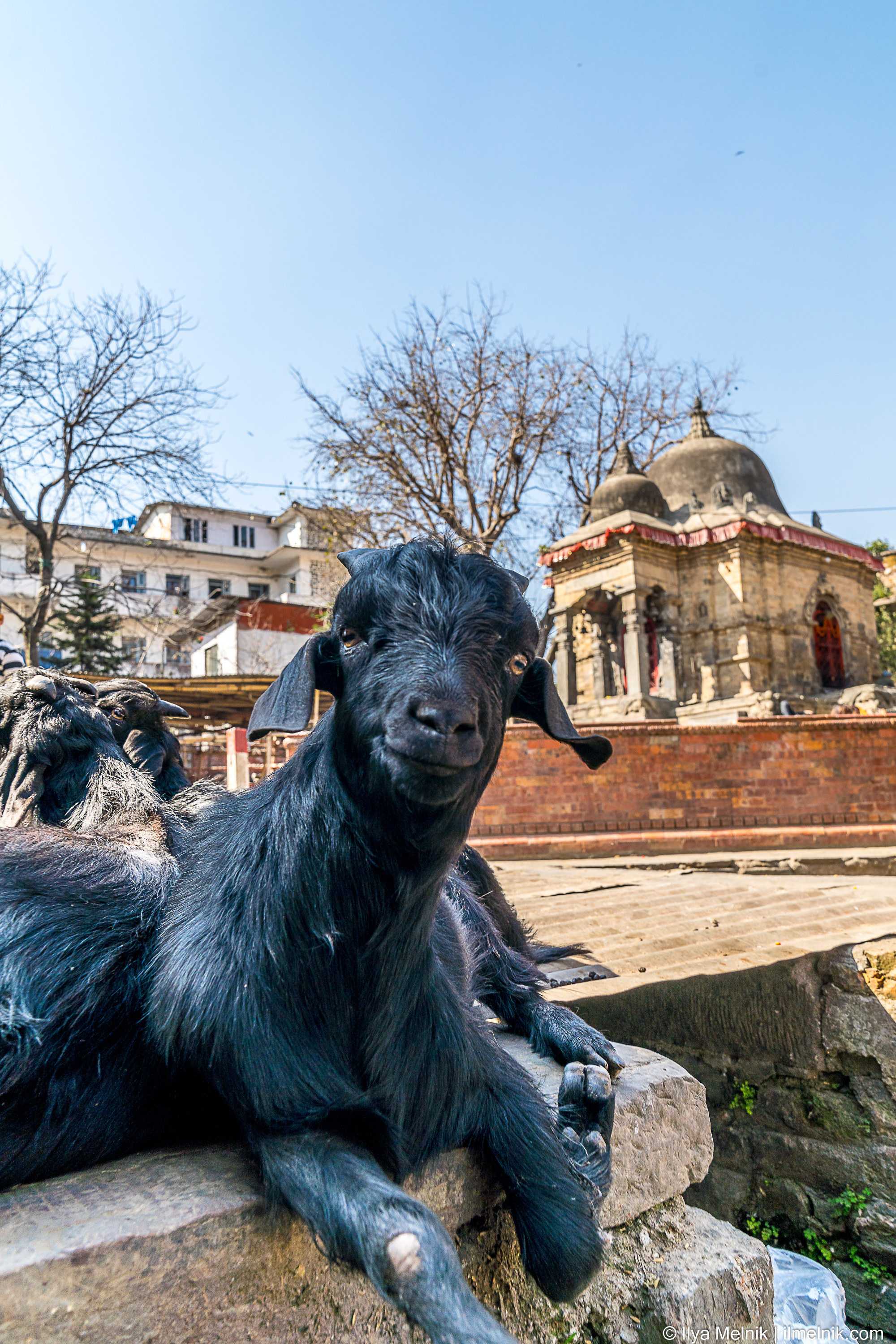 Nepal. Ilya Melnik Photography
