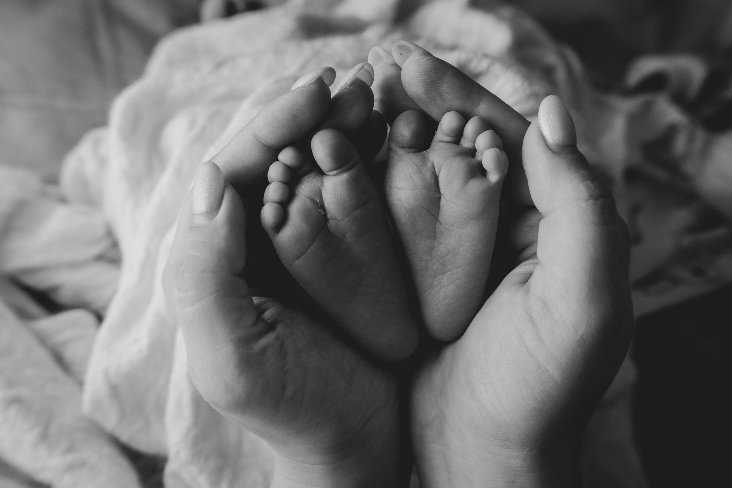 Доминик. NewBorn. Фотограф СЕМЬИ и ДЕТСТВА в Краснодаре и Краснодарском крае Екатерина Москат