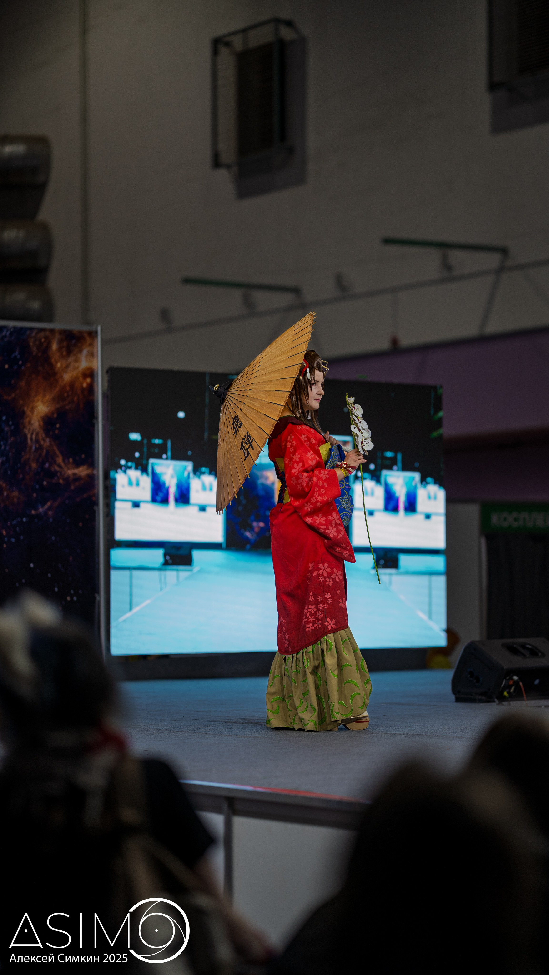 Unicon & GameExpo Minsk. Арт и семейный фотограф/видеограф Алексей Симкин