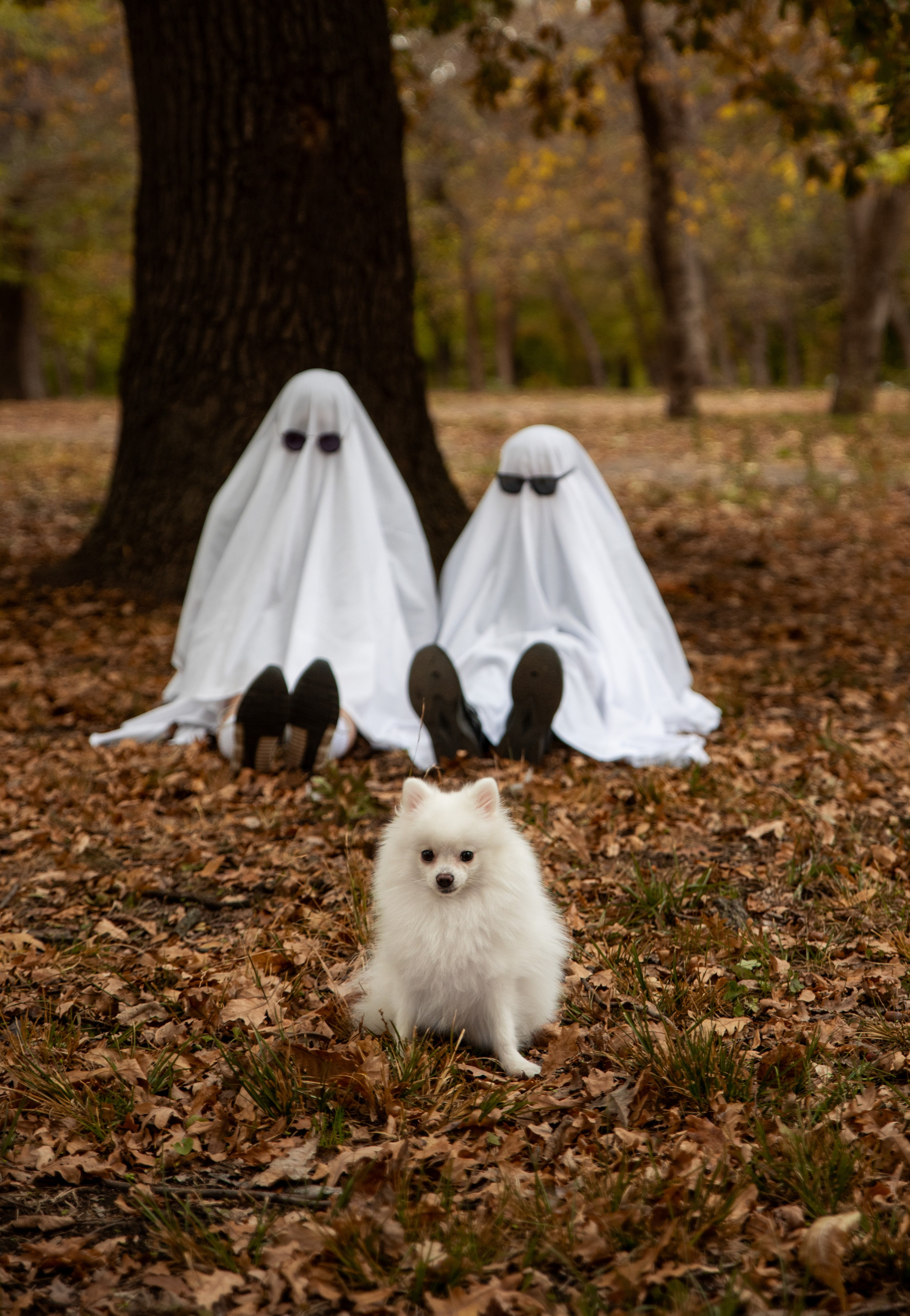 Вика и Стас на «Хэллоуин». Фотограф в Краснодаре Анна Карелина