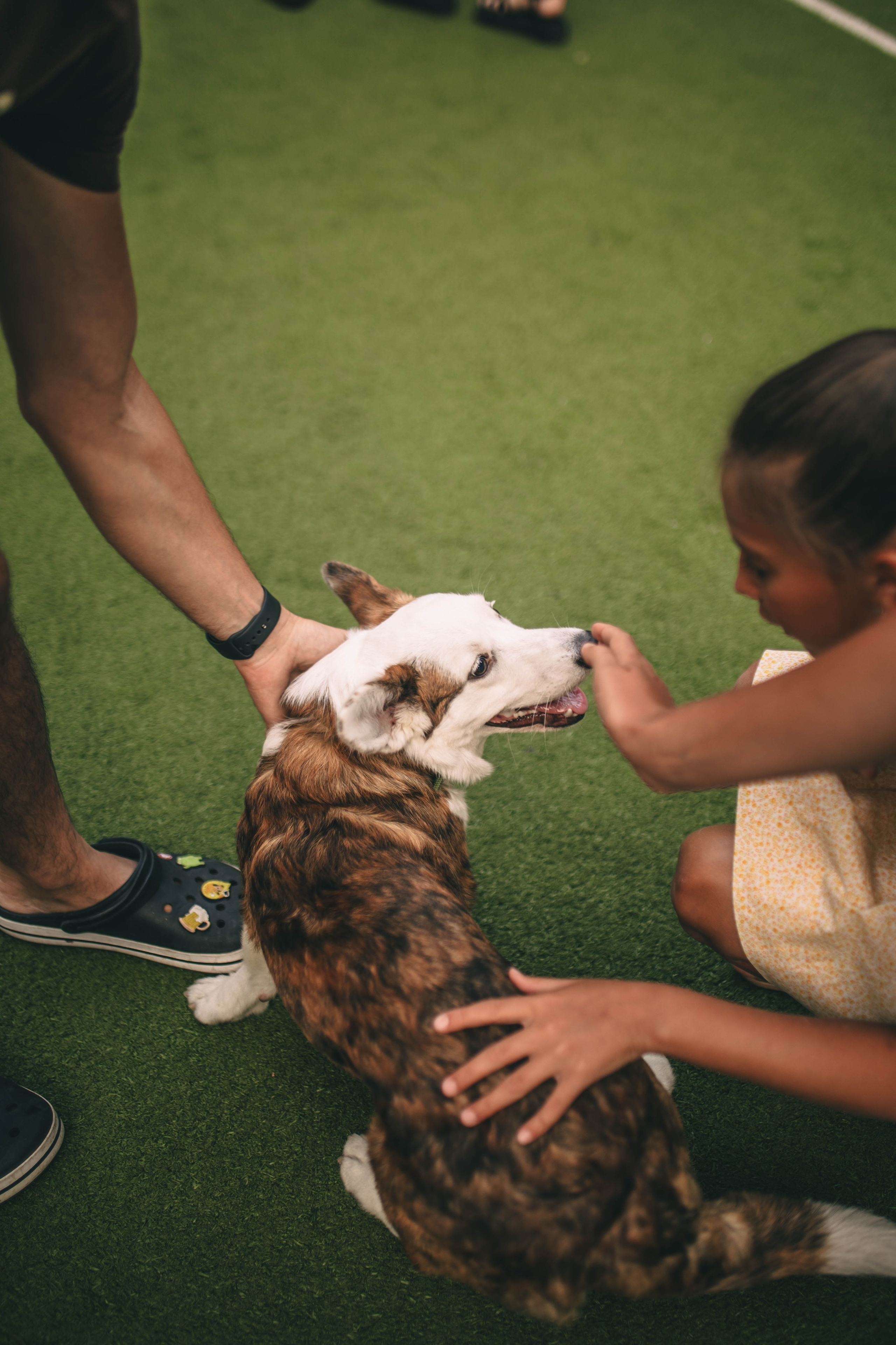 Pet-Party + Live-music |Парк Культуры. Фотограф в Ставрополе Алина Клочкова