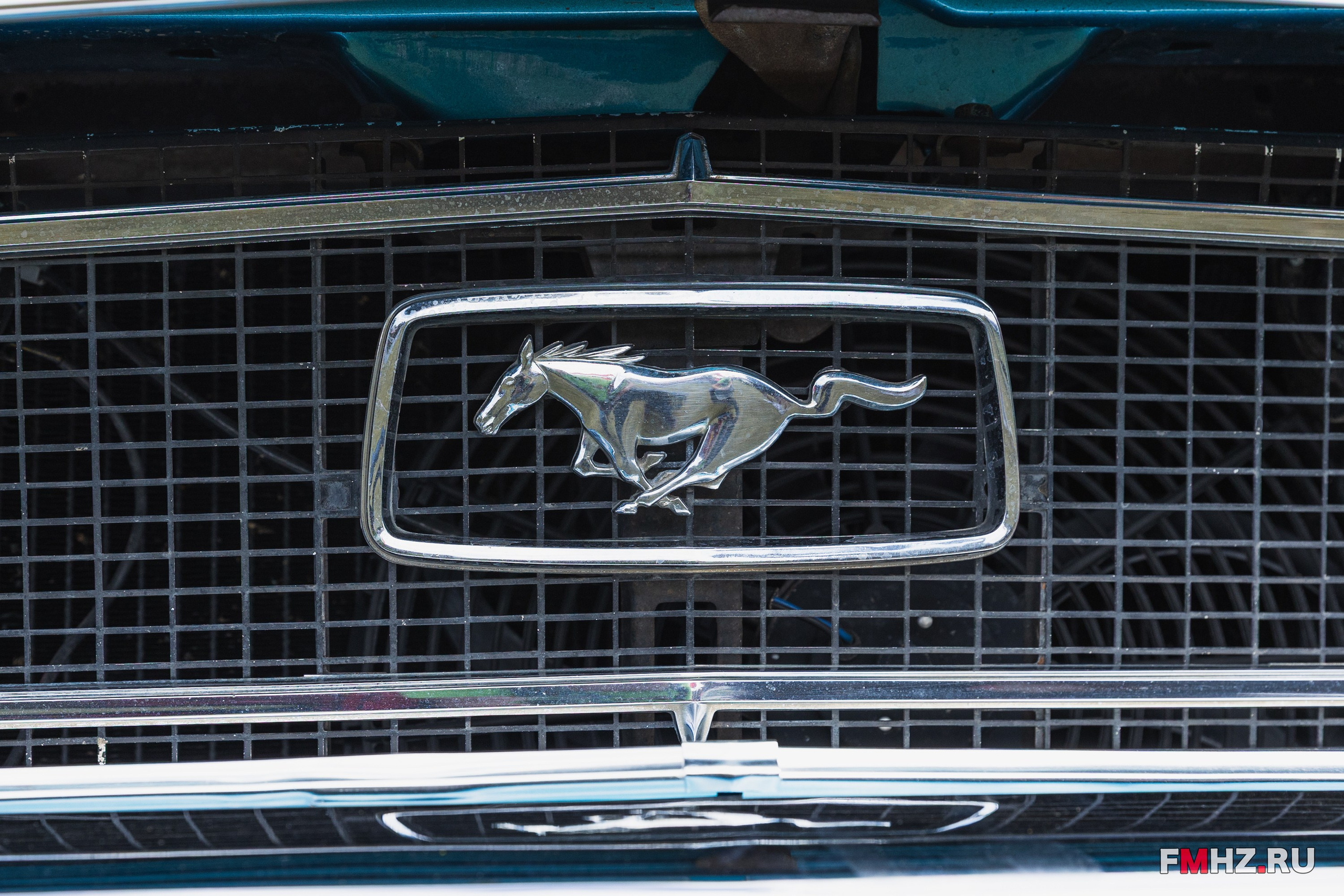 Фестиваль технических видов спорта. Фотограф Ольга Гирусова «Пантерочка» Москва