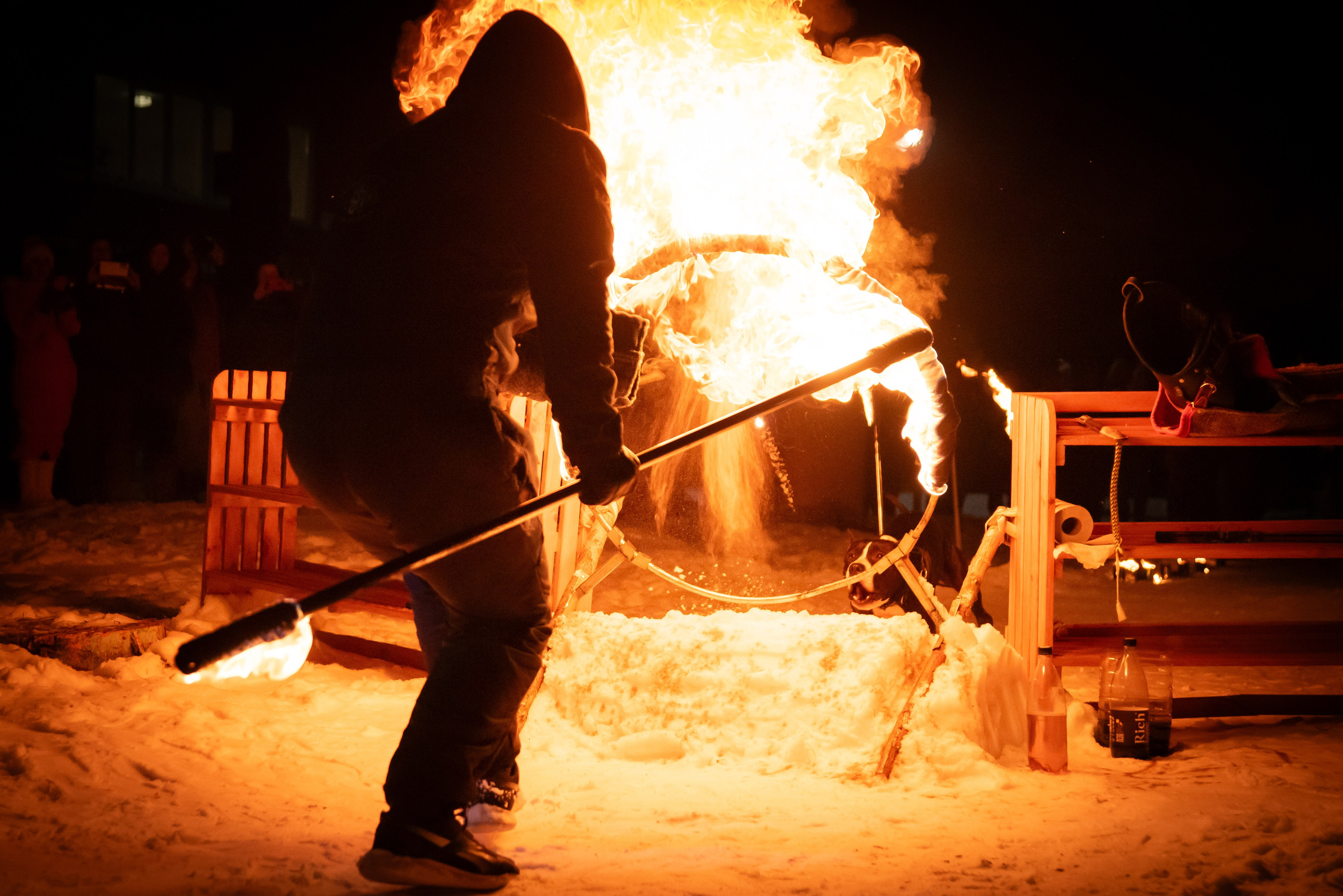Фотосъёмка с собаками в Кинологическом лагере. Фотограф Макс Огурцов в Нижнем Новгороде