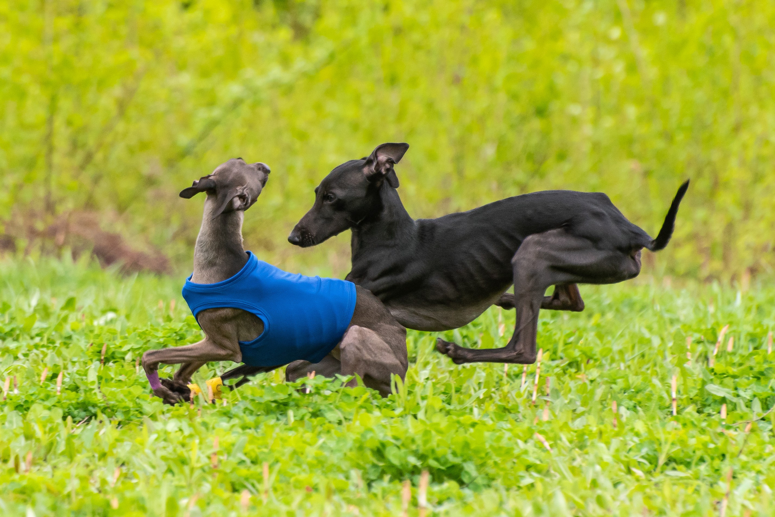 Фотографии с Курсинга. Фотограф Макс Огурцов в Нижнем Новгороде