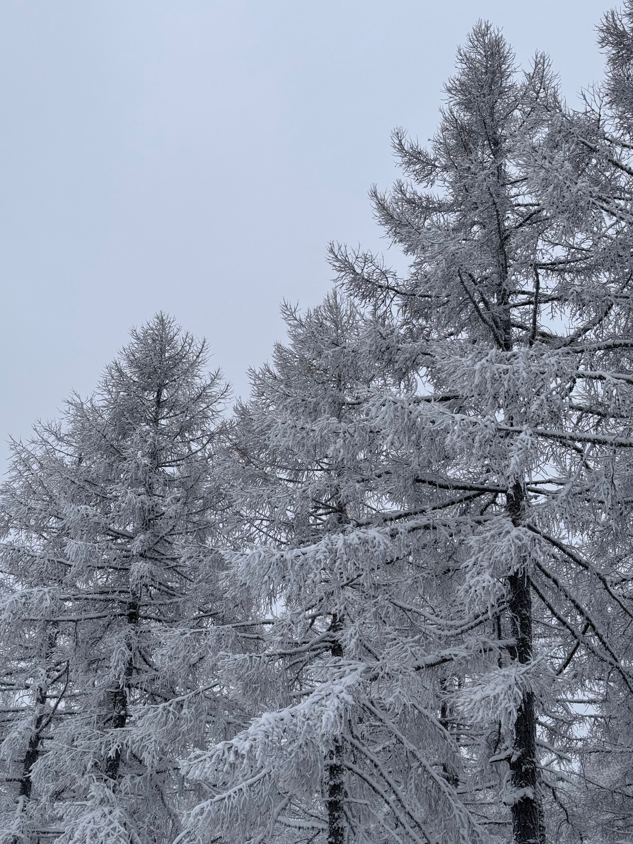 Фото с туров в Мраткино — Время Приключений