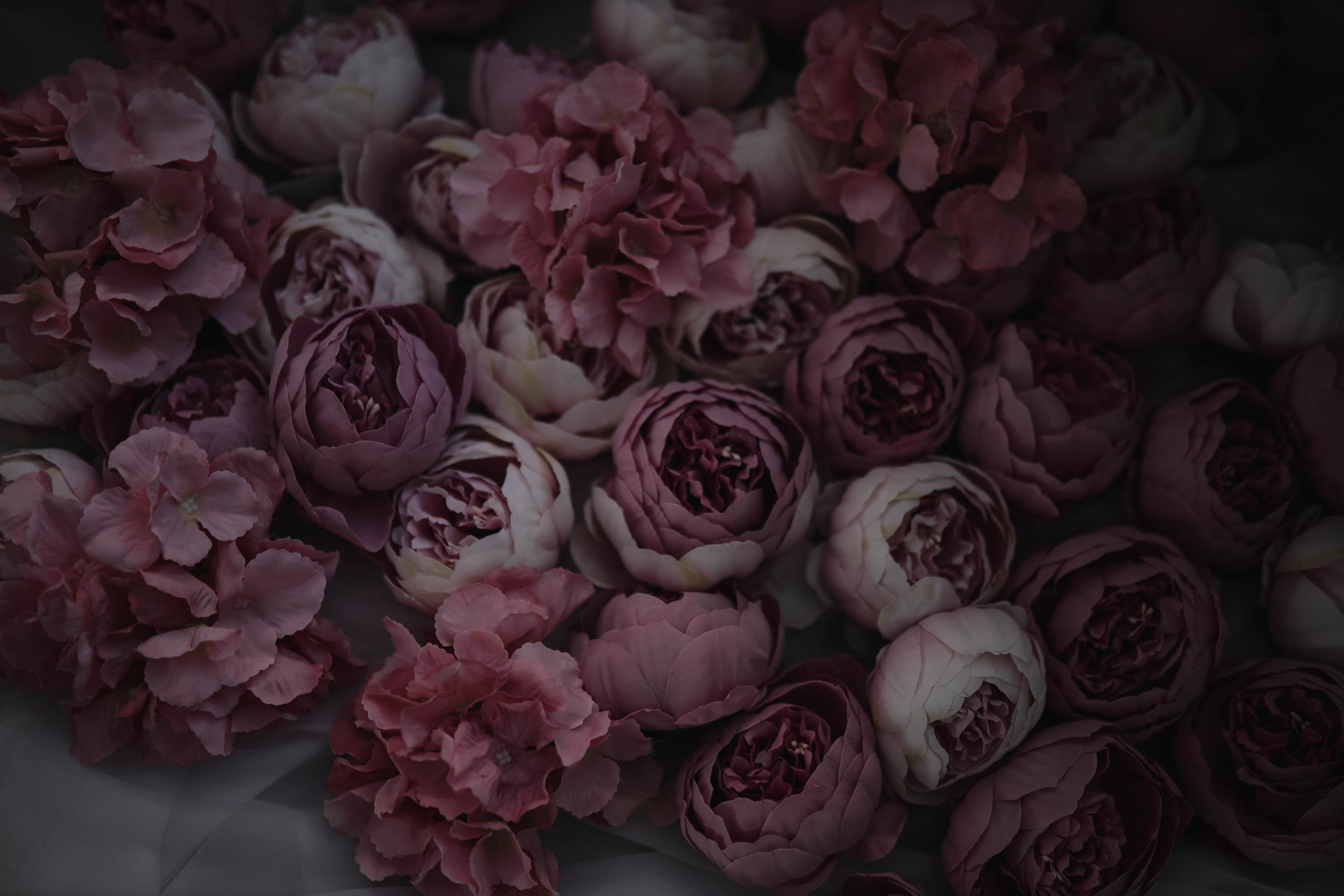 Олеся. Фотограф Трифон Мира