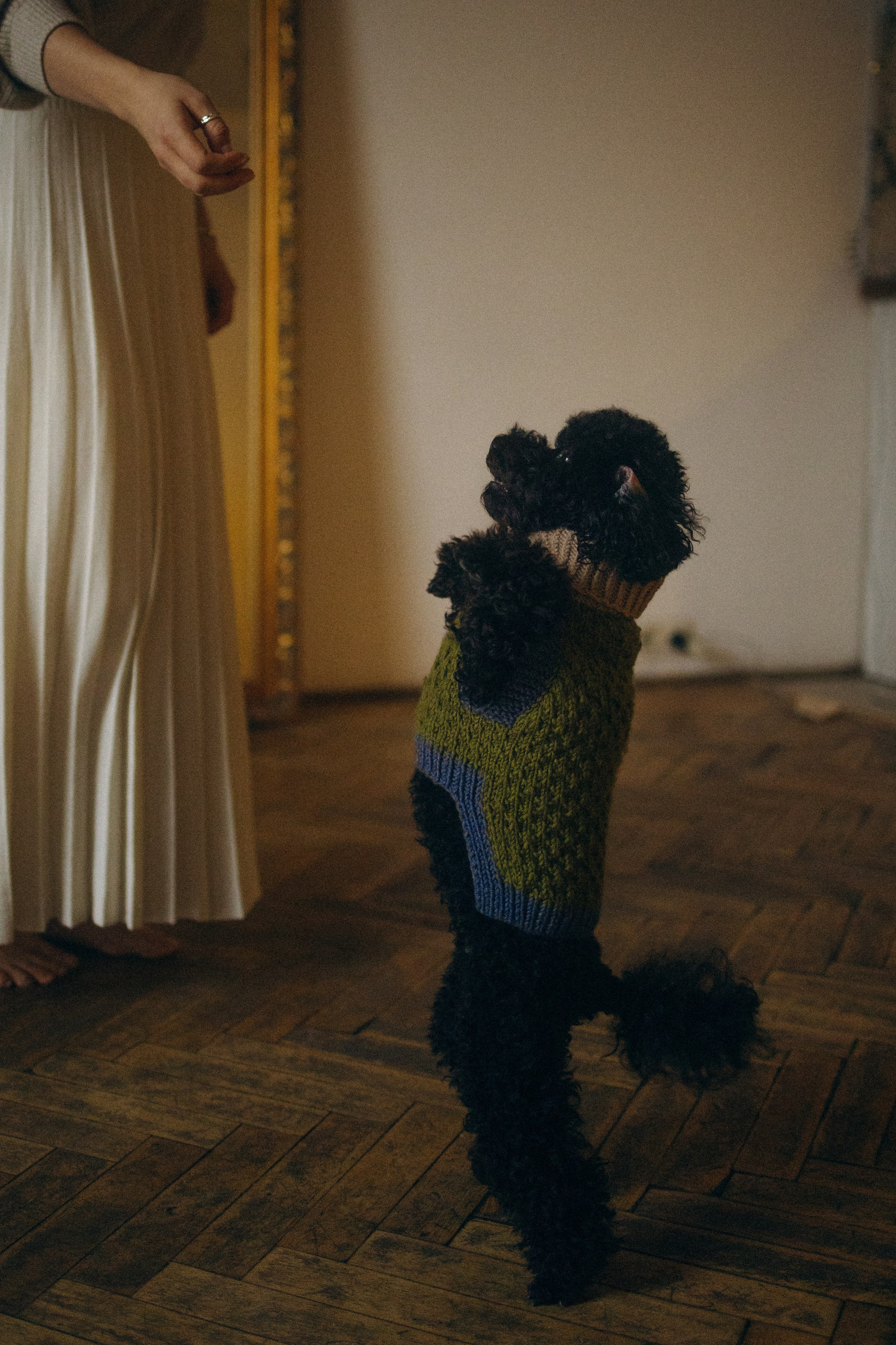 Полина и Мия. Фотораф — анималист Мария Шистка